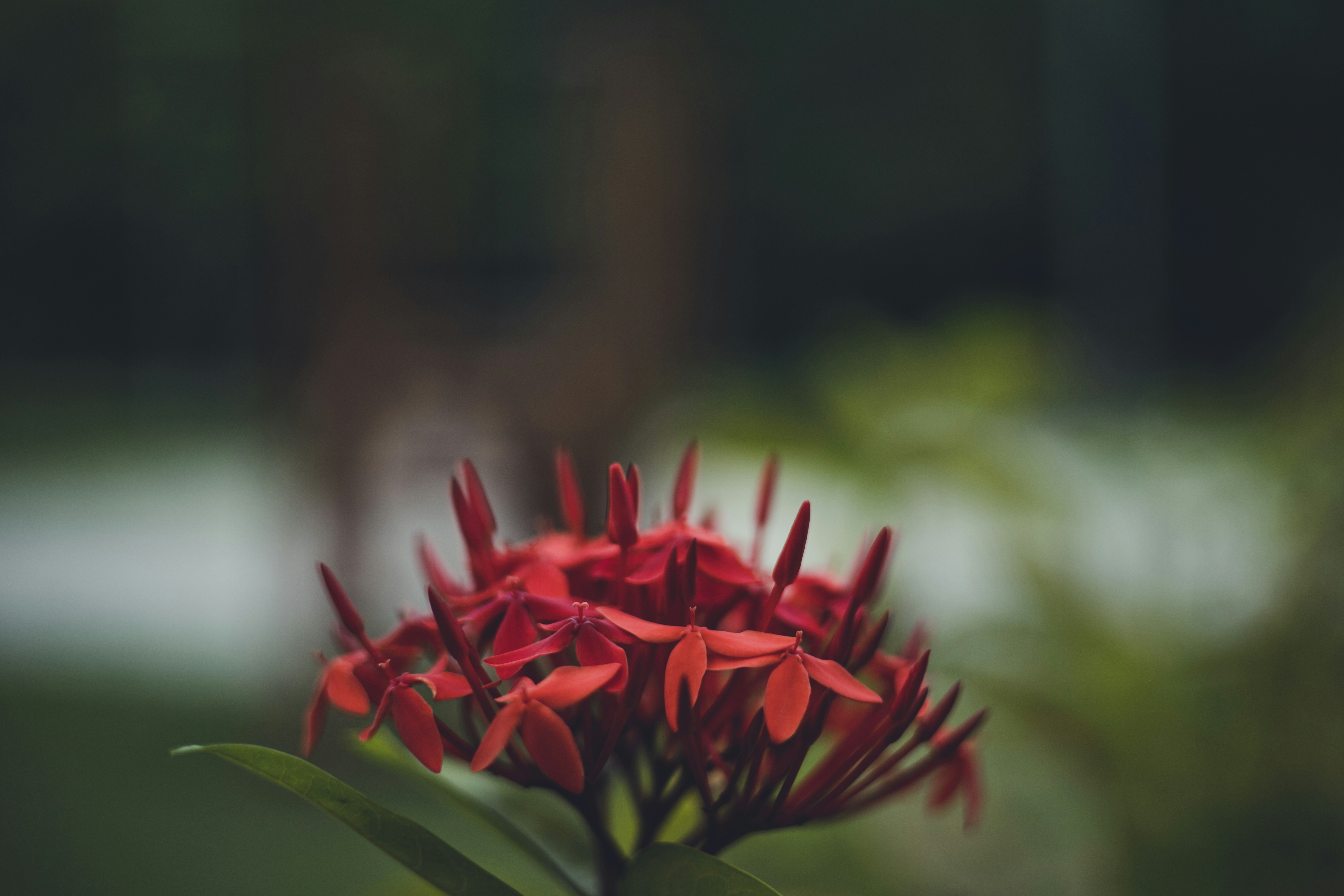 Photo by rrodriguesim