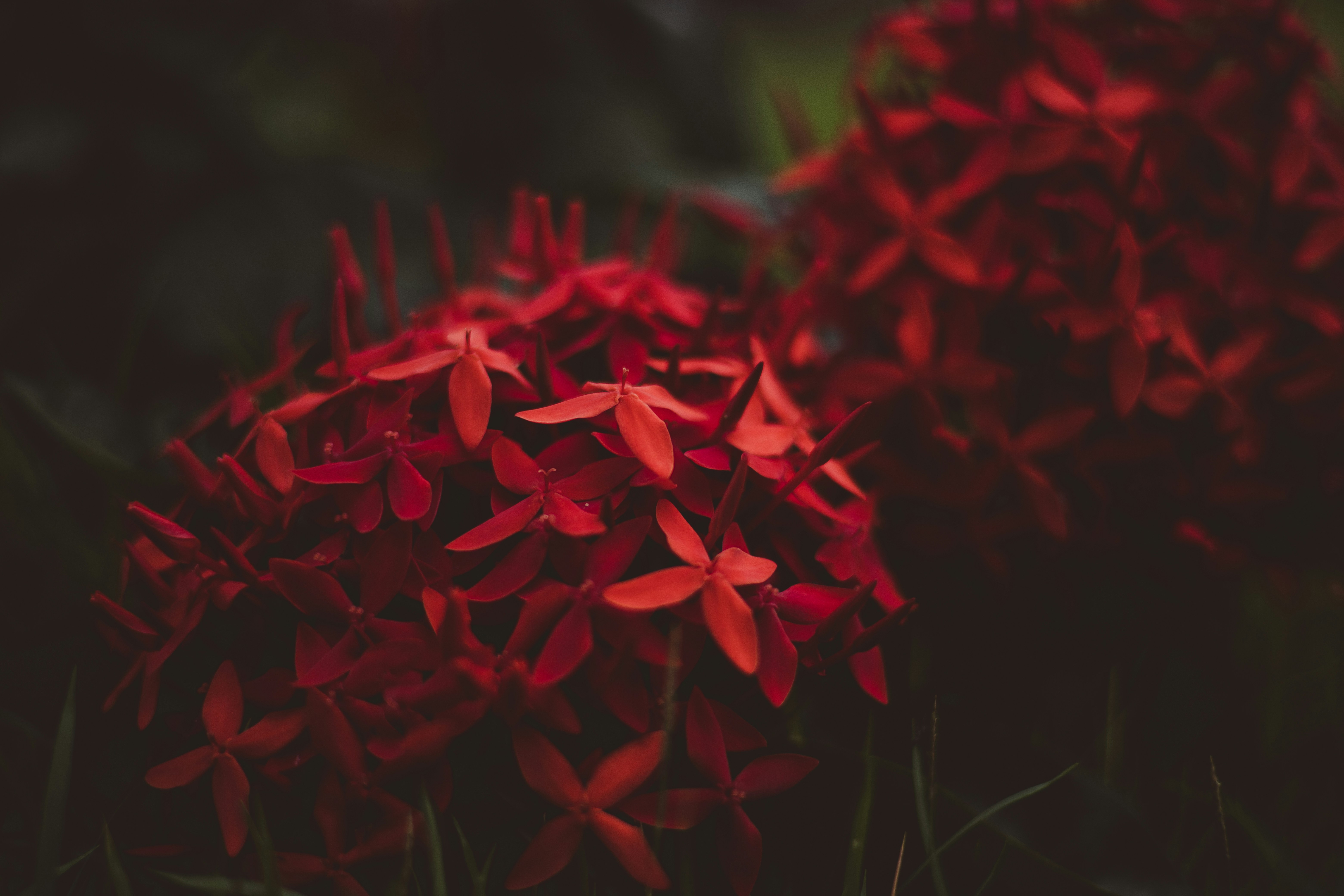 Photo by rrodriguesim