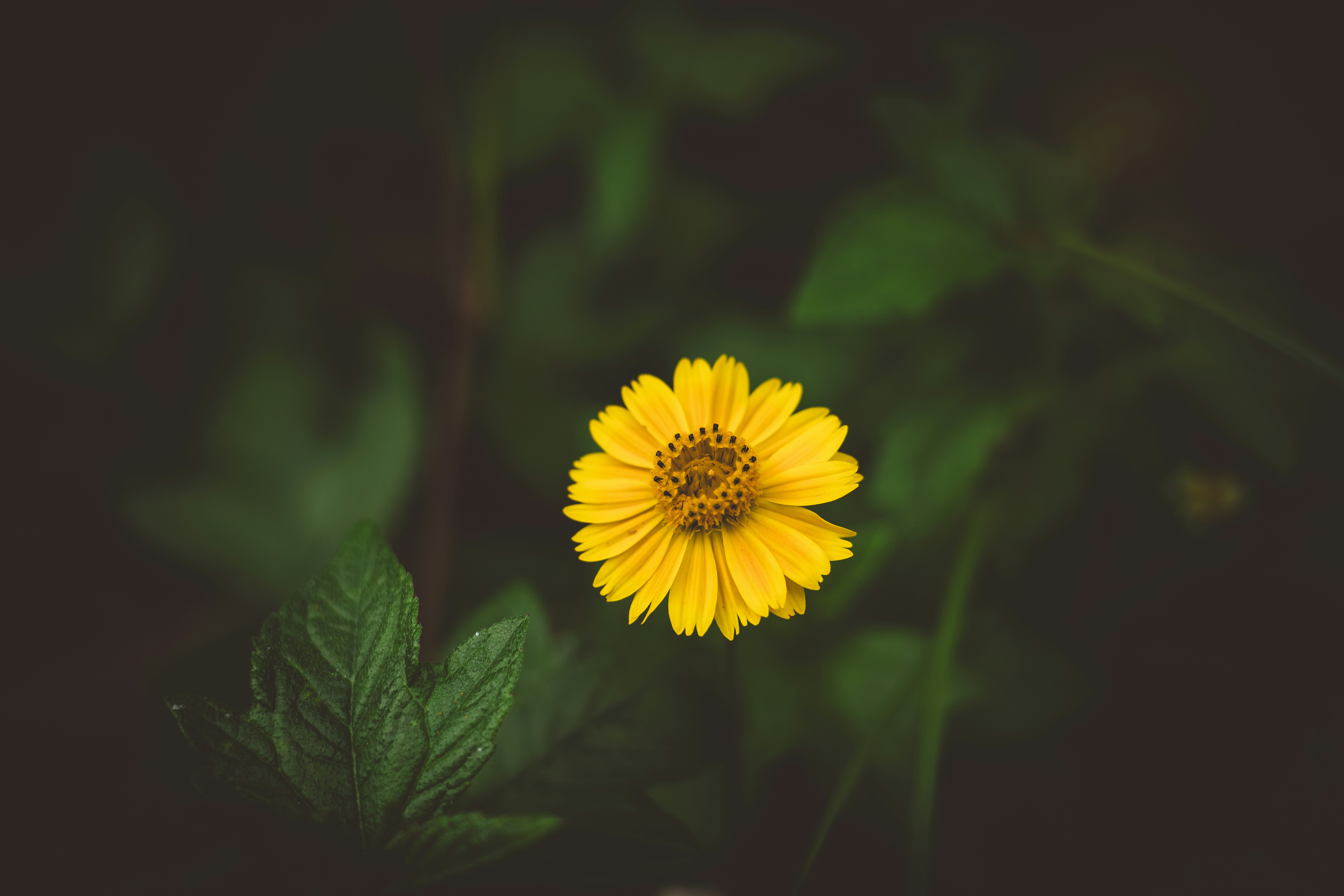 Photo by rrodriguesim