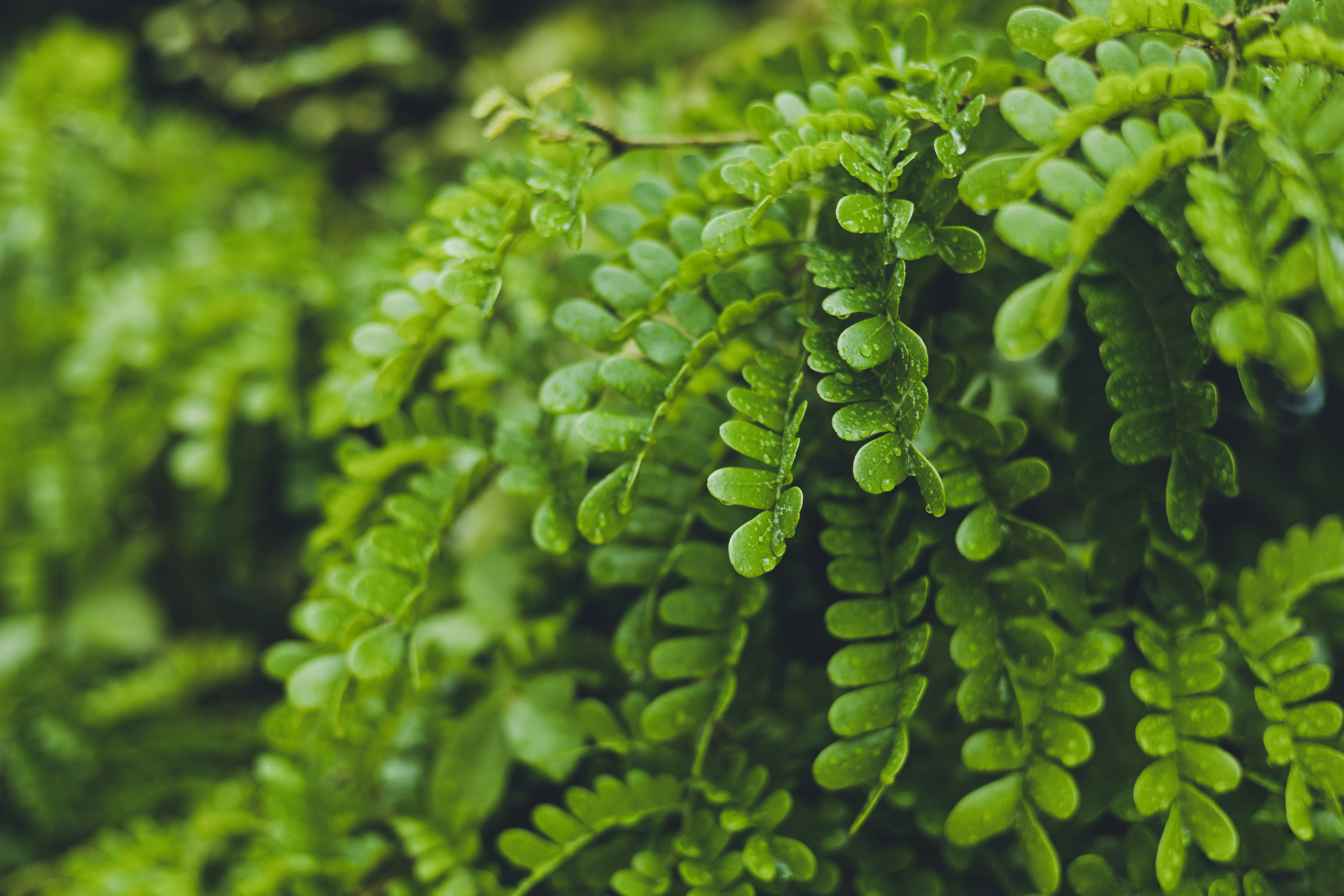 Photo by rrodriguesim