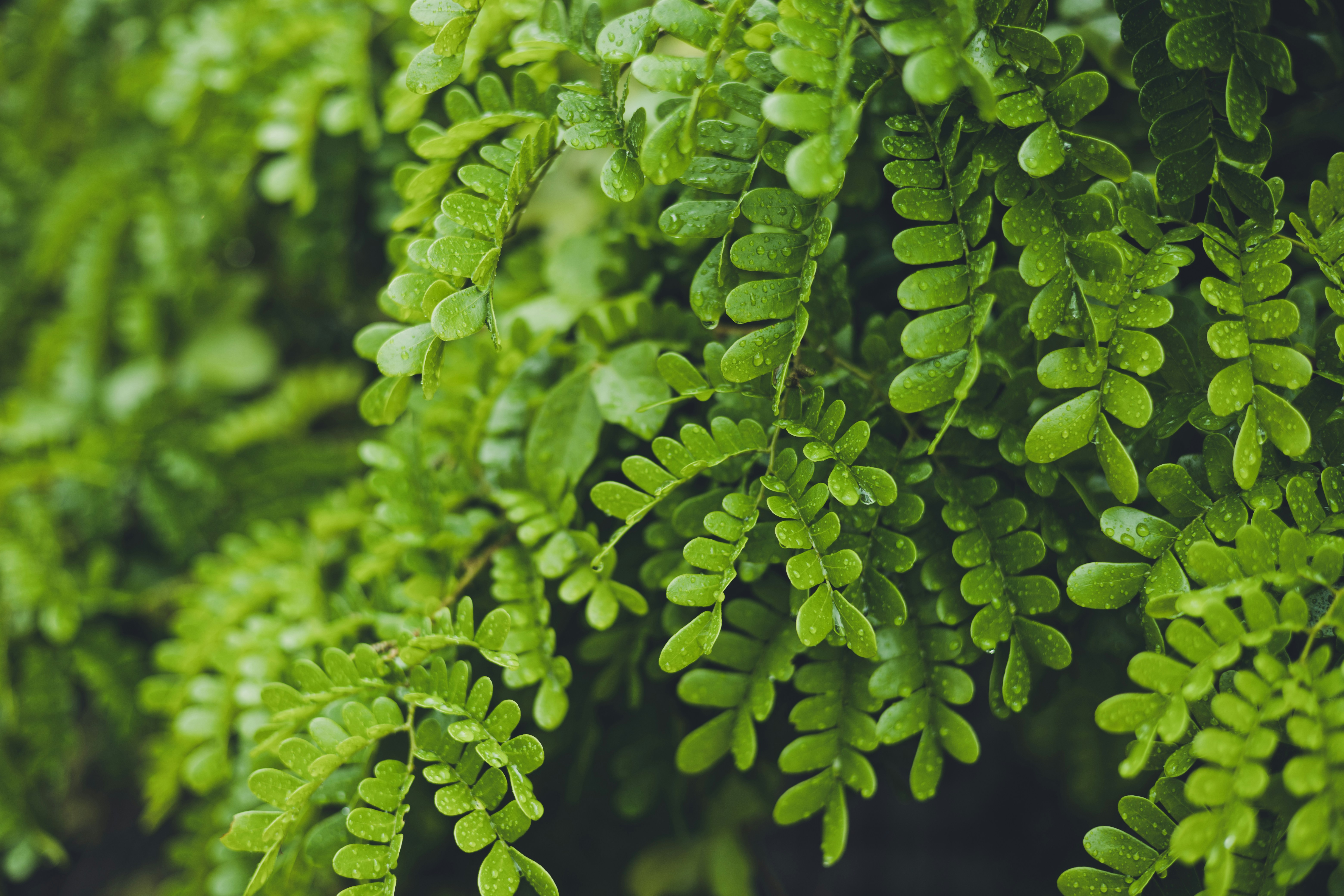 Photo by rrodriguesim