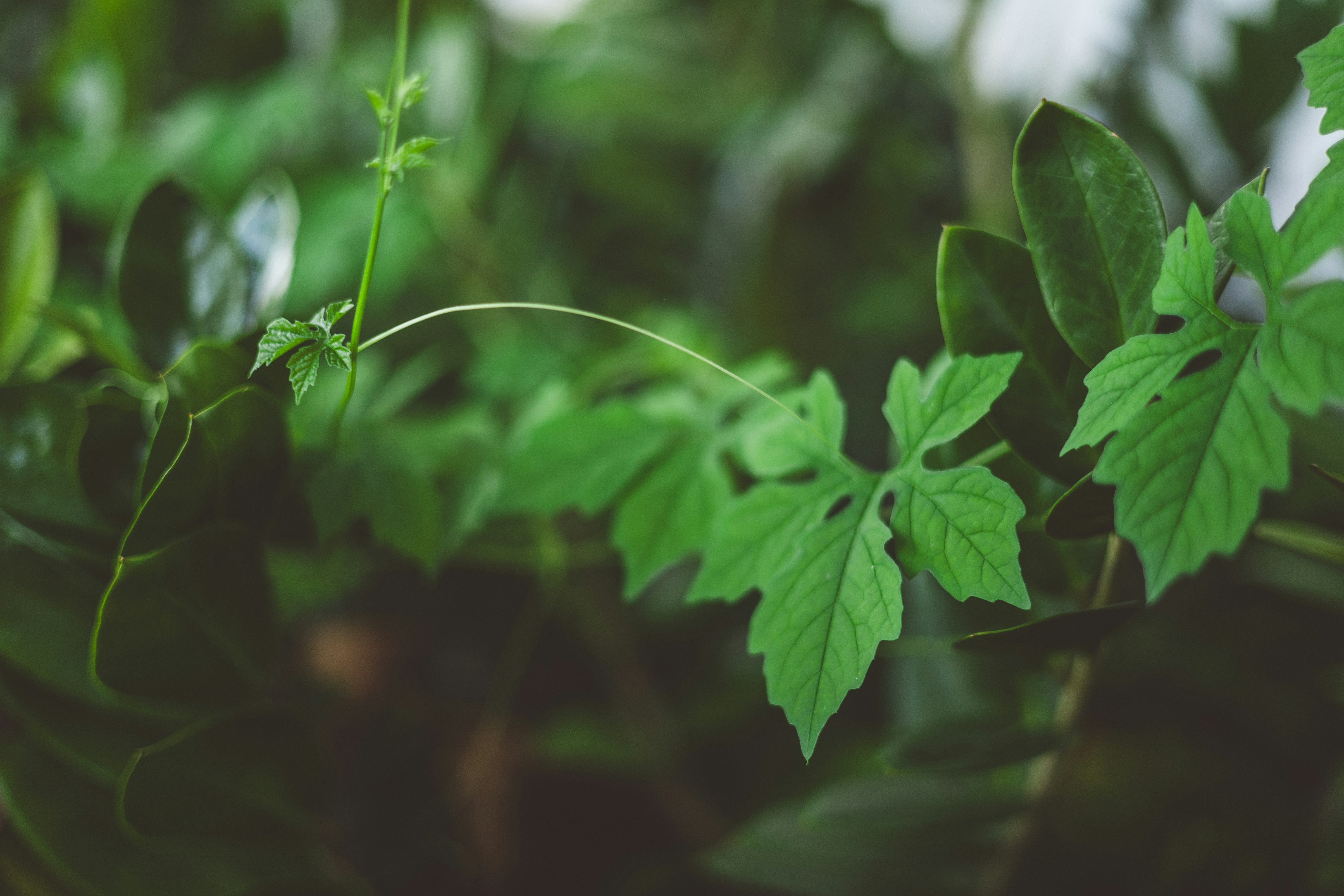 Photo by rrodriguesim