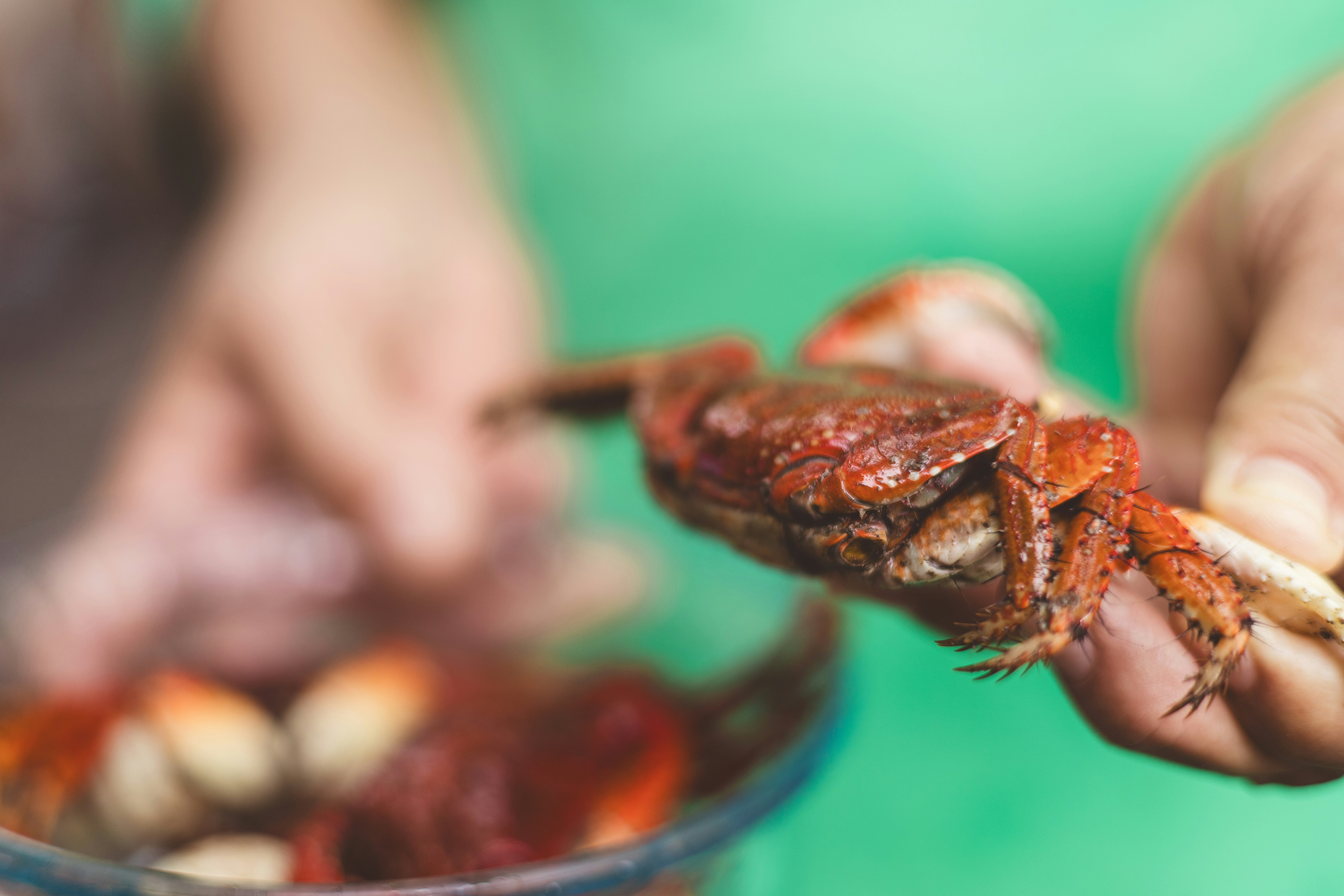 Photo by rrodriguesim