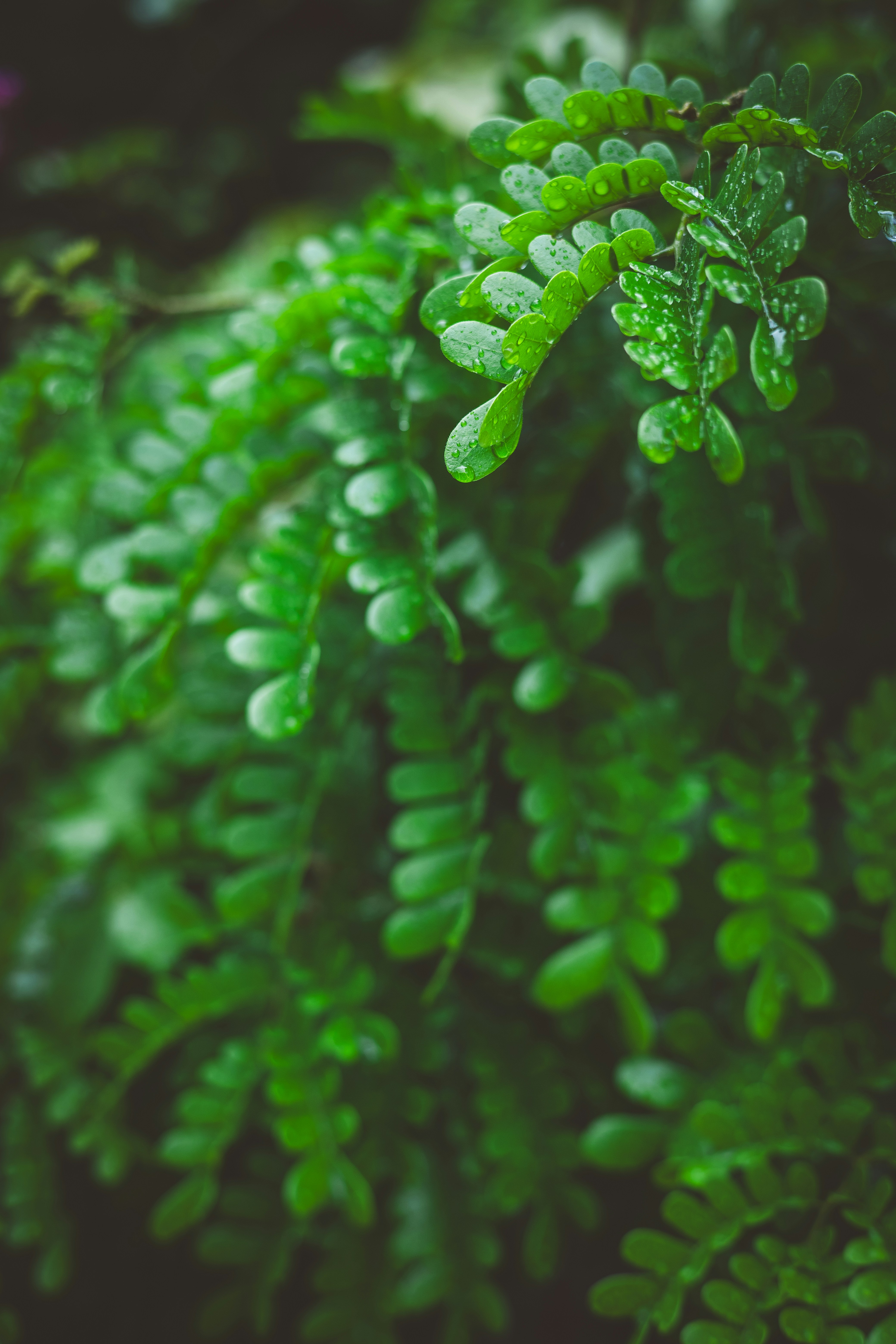 Photo by rrodriguesim