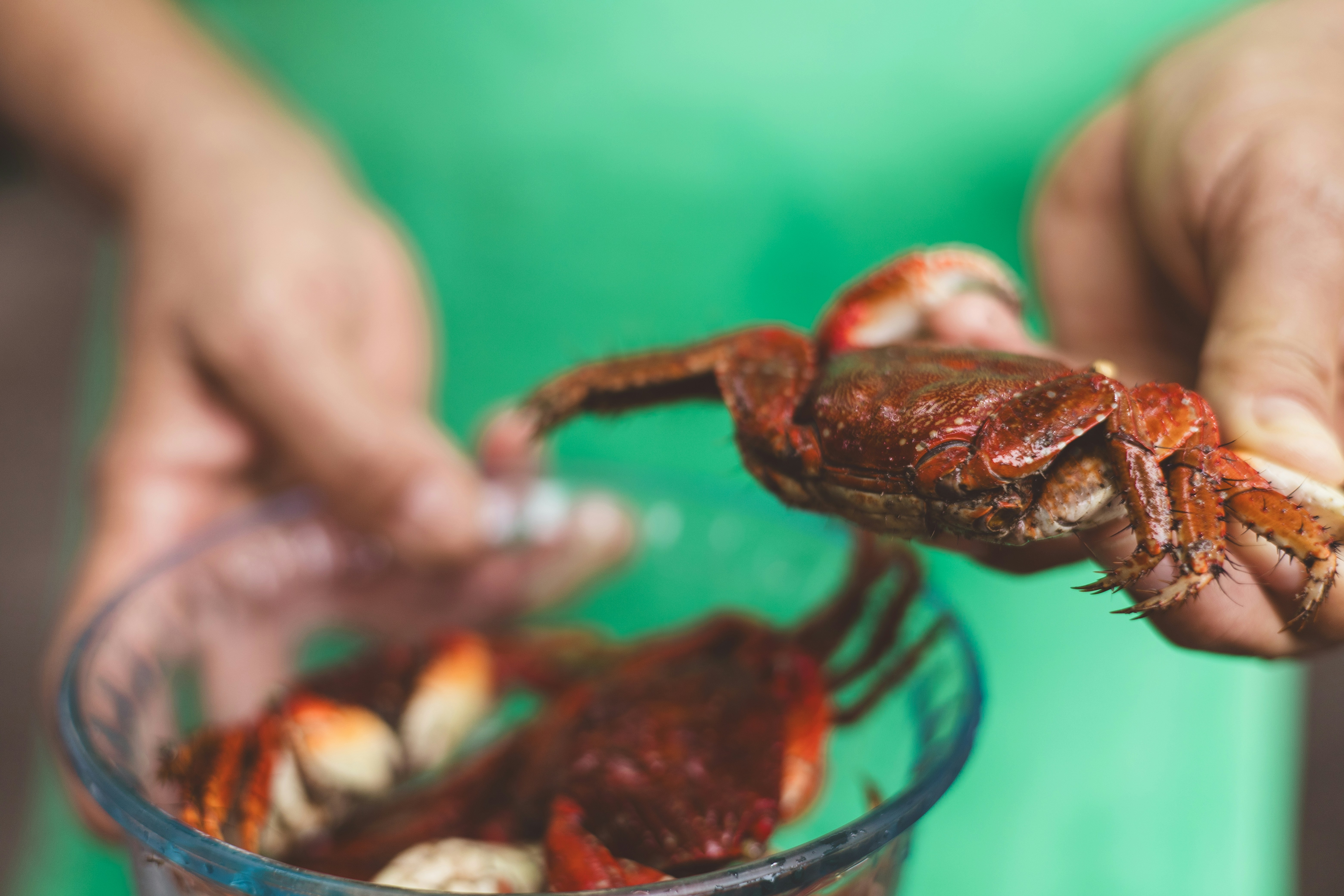 Photo by rrodriguesim