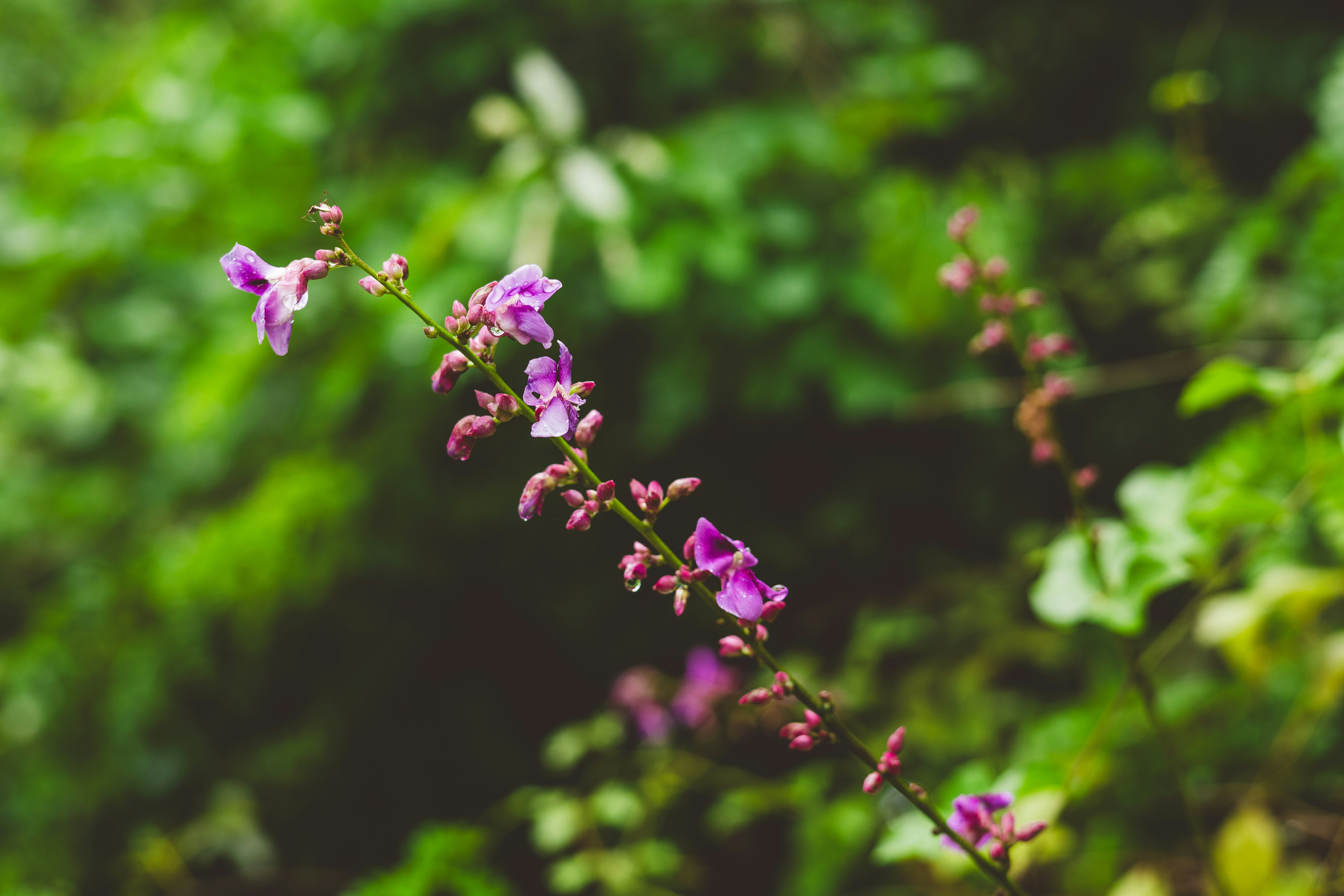 Photo by rrodriguesim