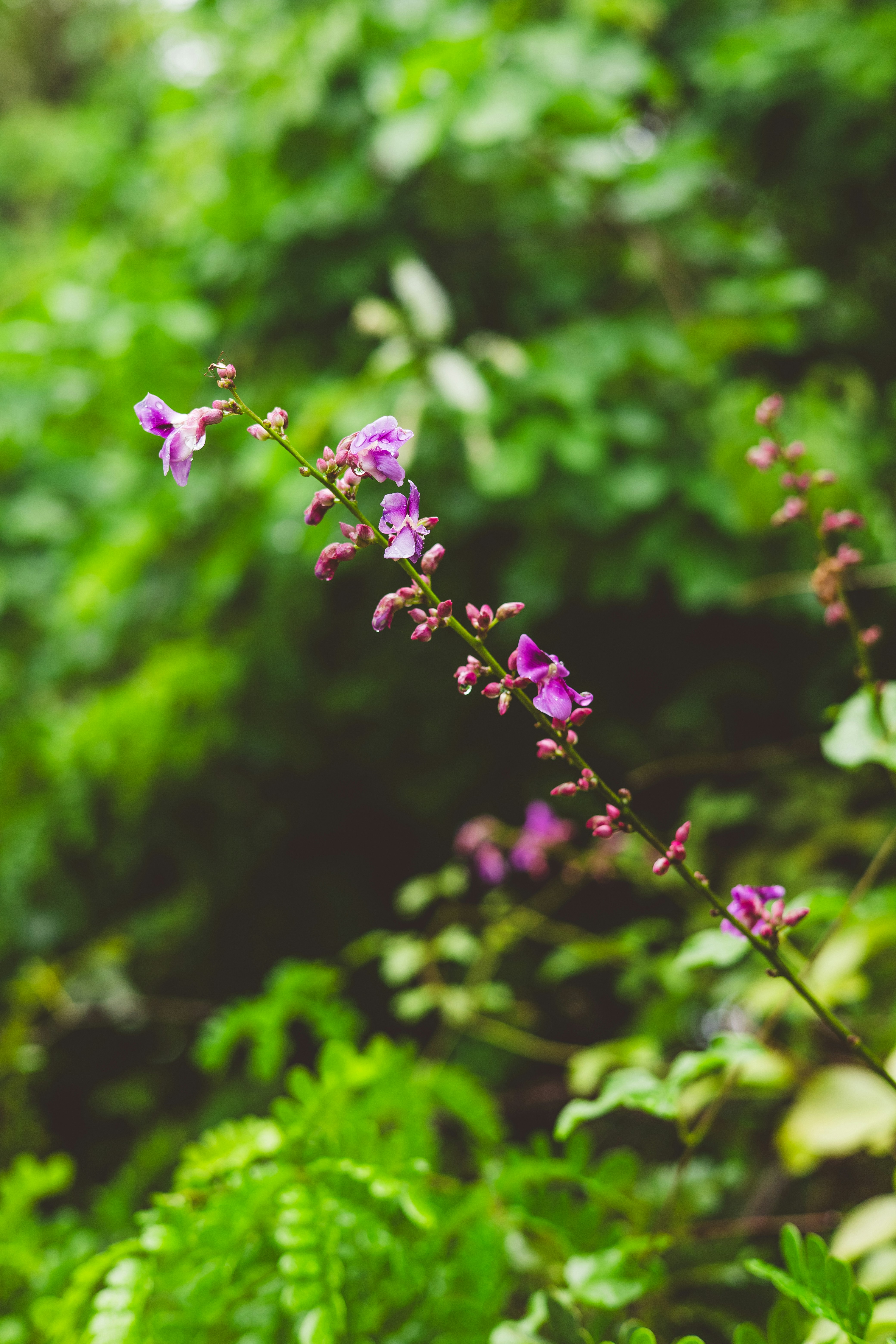 Photo by rrodriguesim