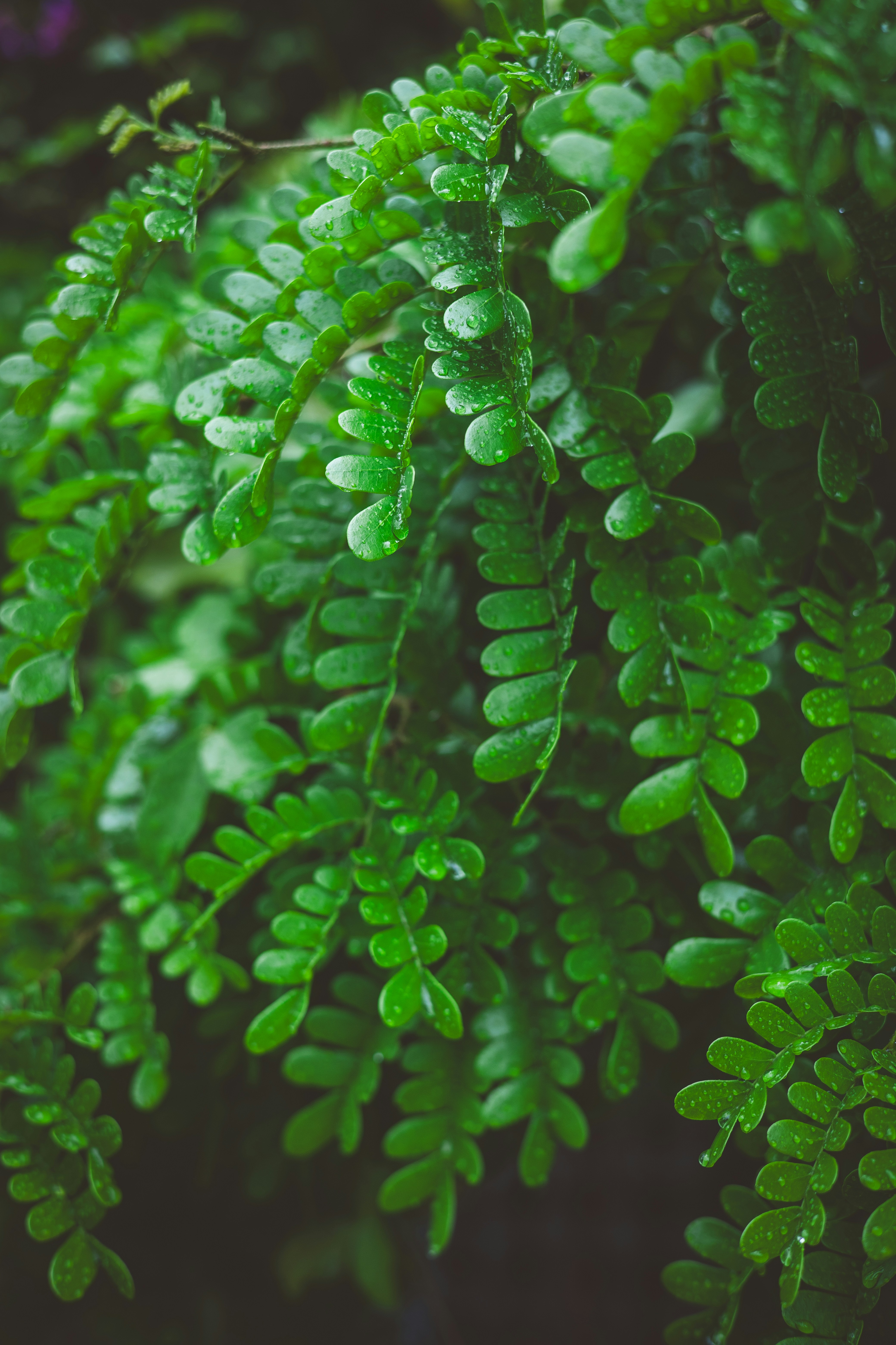 Photo by rrodriguesim