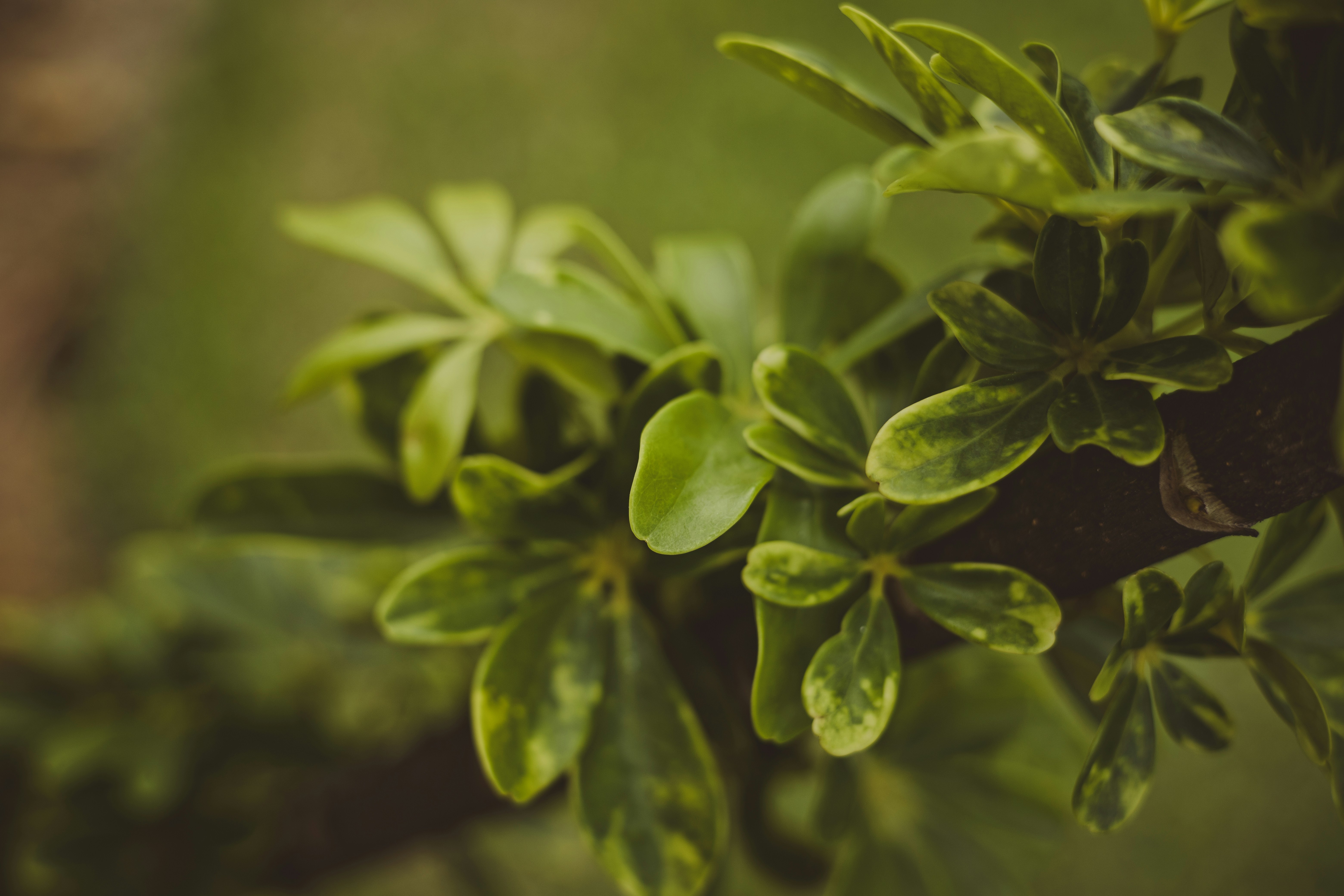 Photo by rrodriguesim