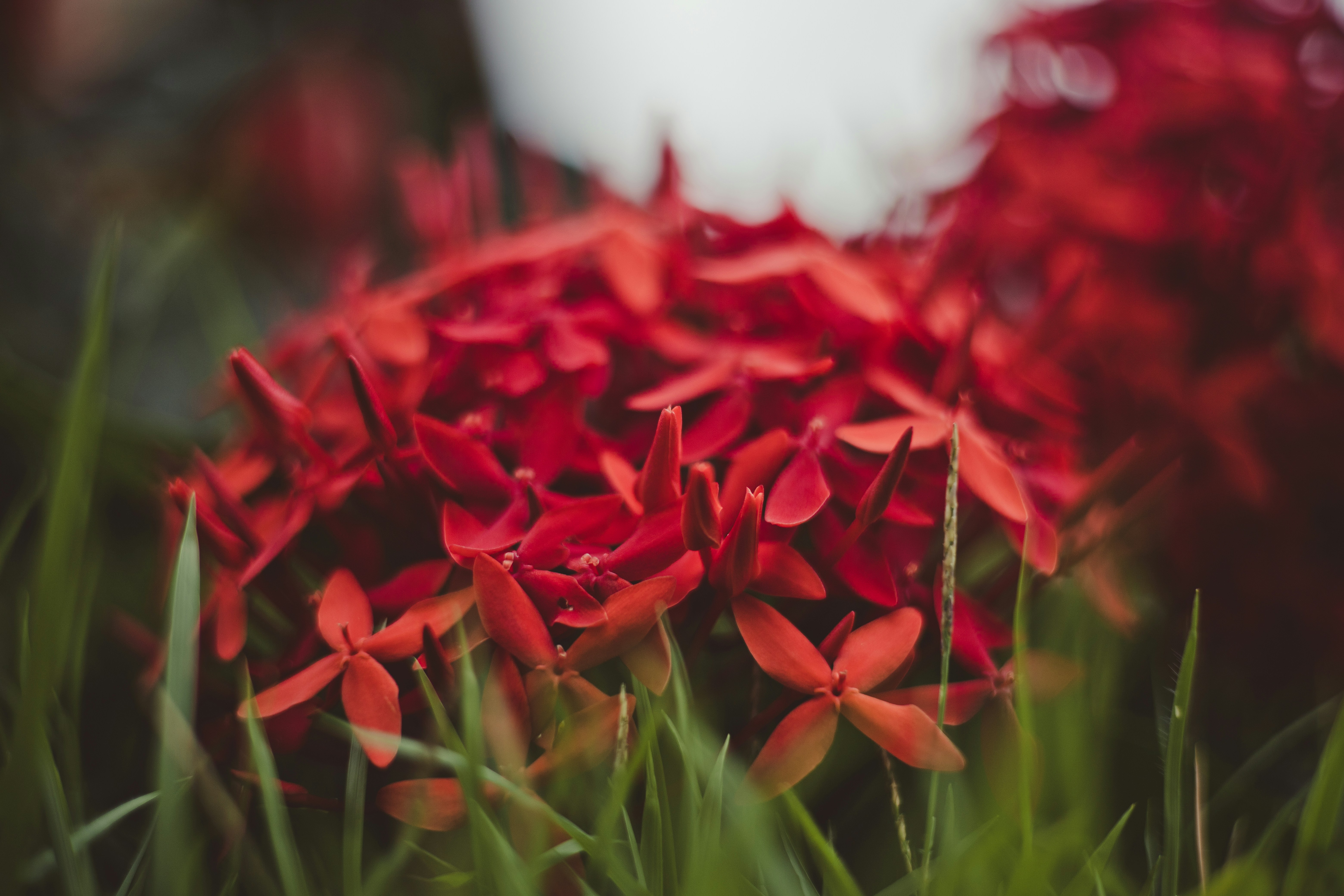 Photo by rrodriguesim