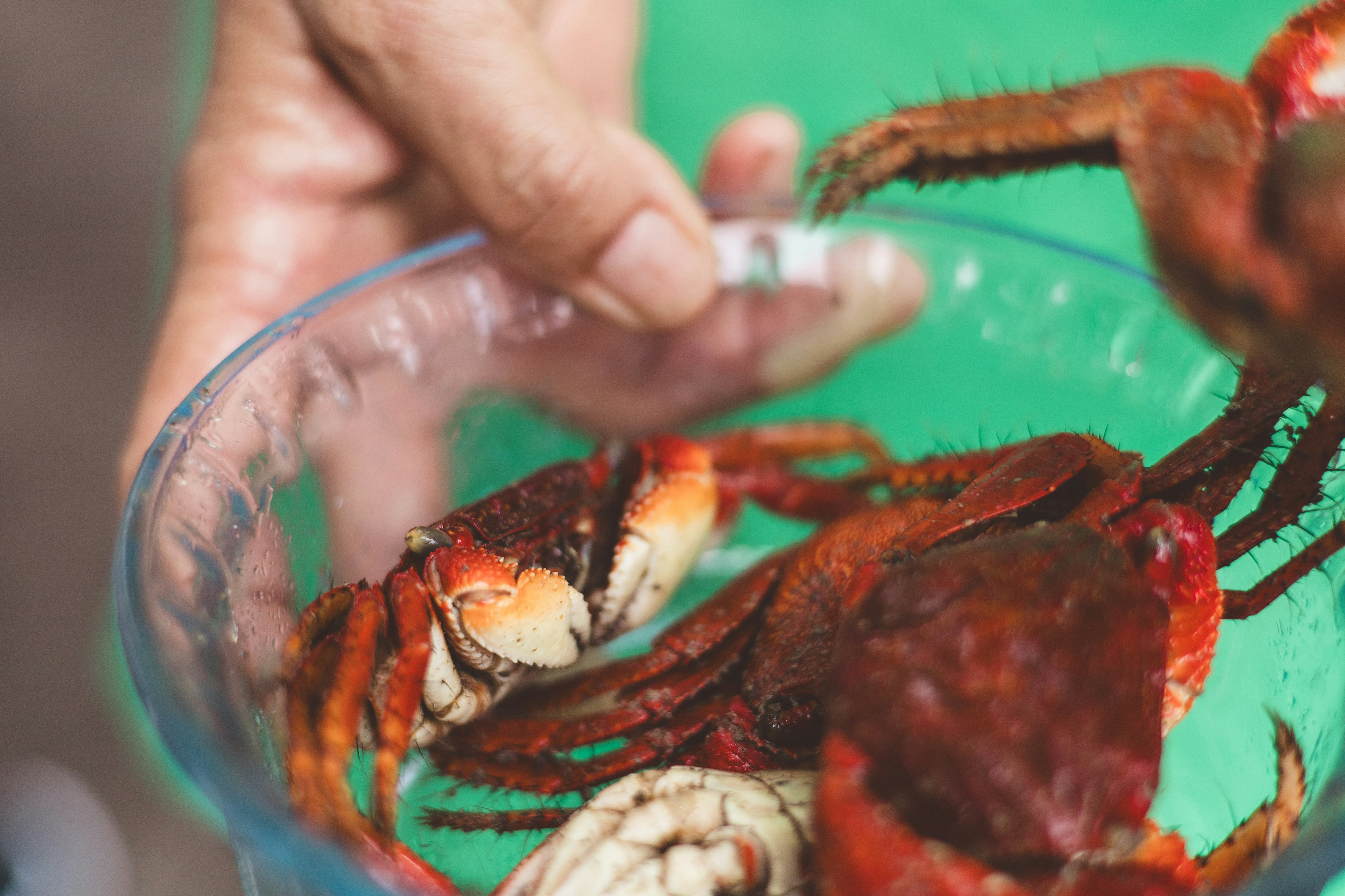 Photo by rrodriguesim