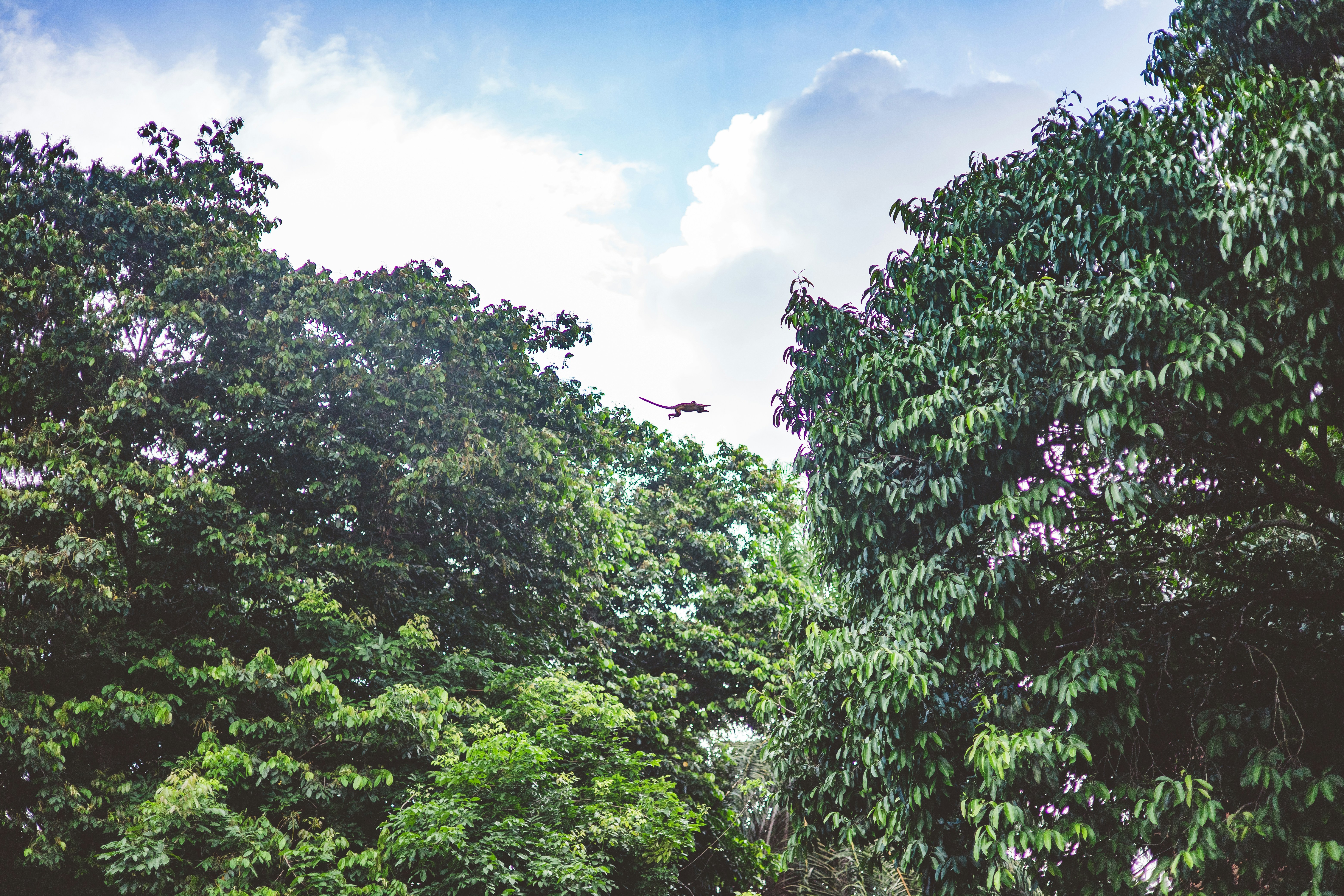 Photo by rrodriguesim