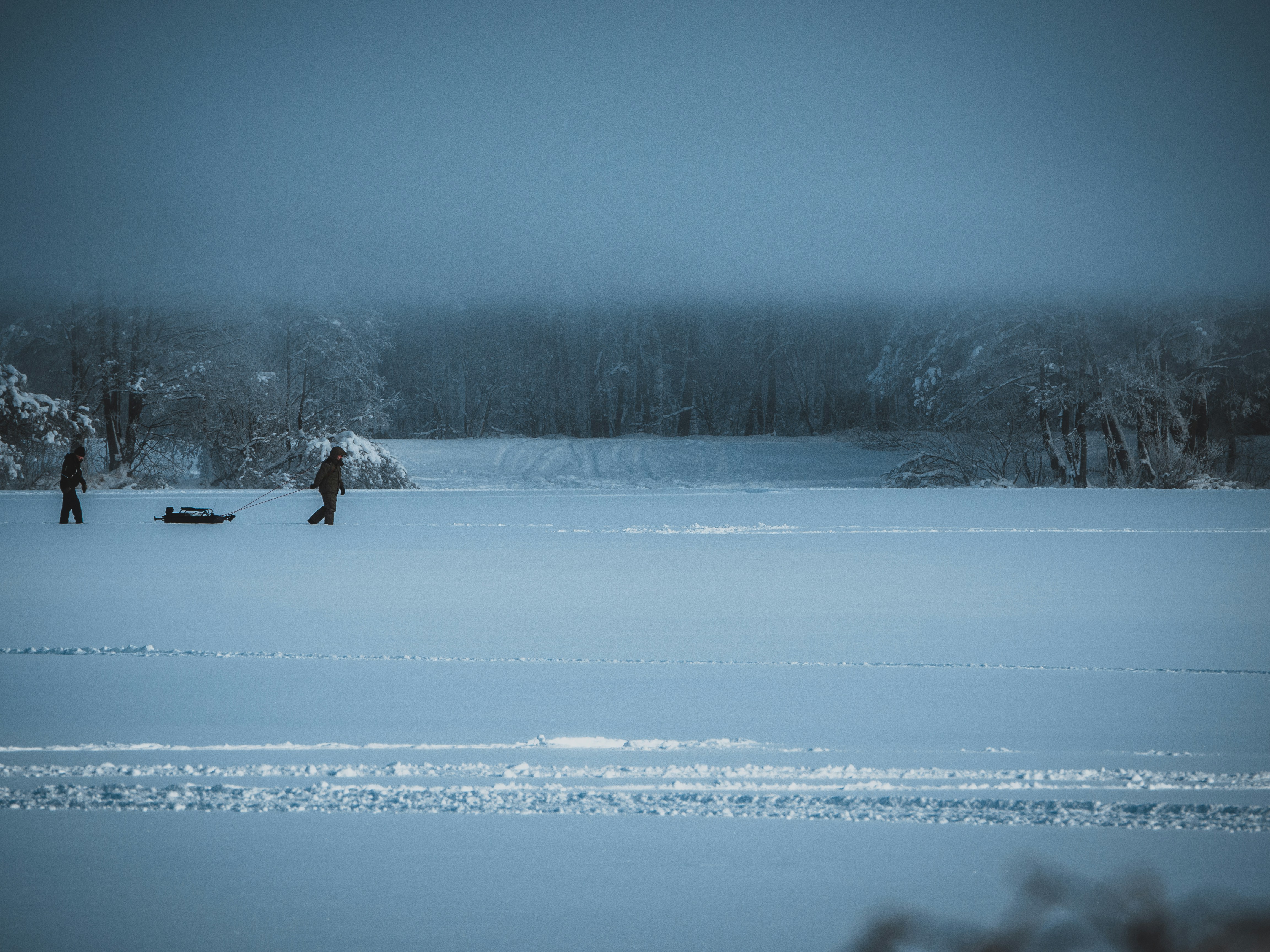 Photo by a_sobotyak