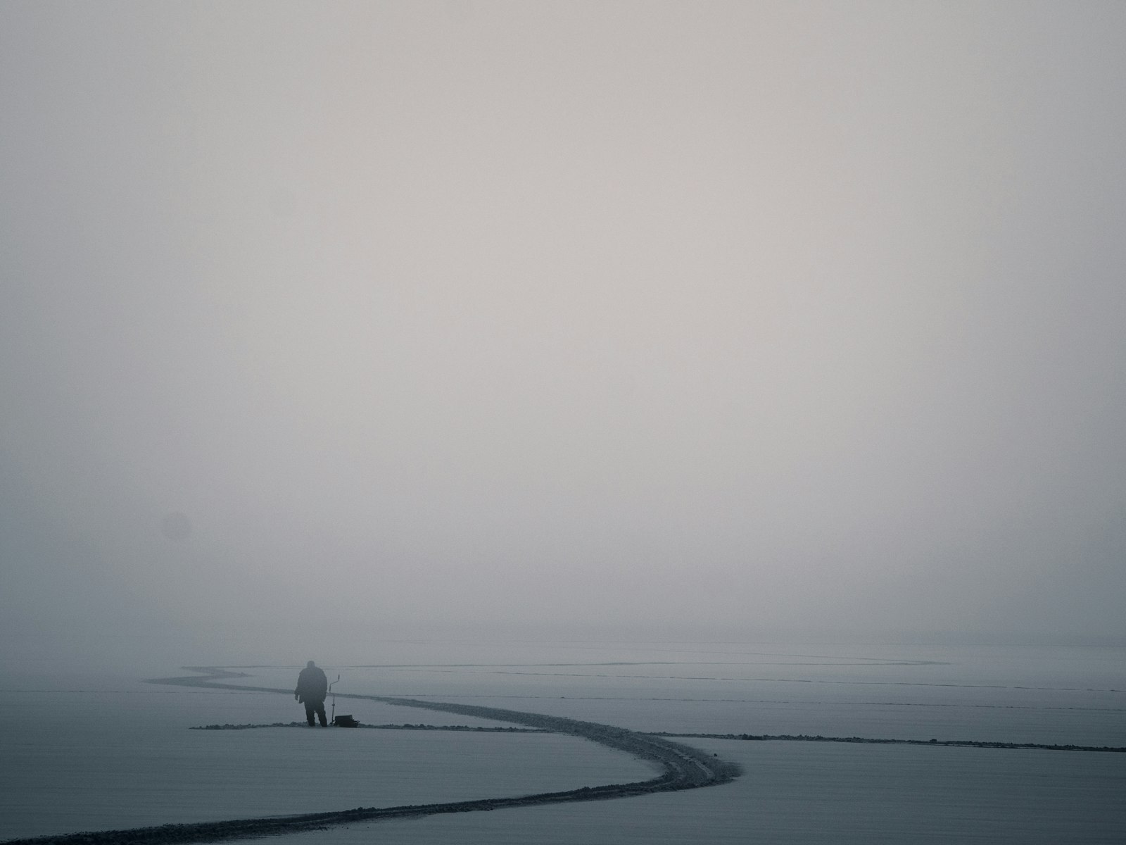 A solitary figure stands in the middle of a vast, fog-shrouded field, embodying the quiet power of the individual against an immense and uncertain landscape