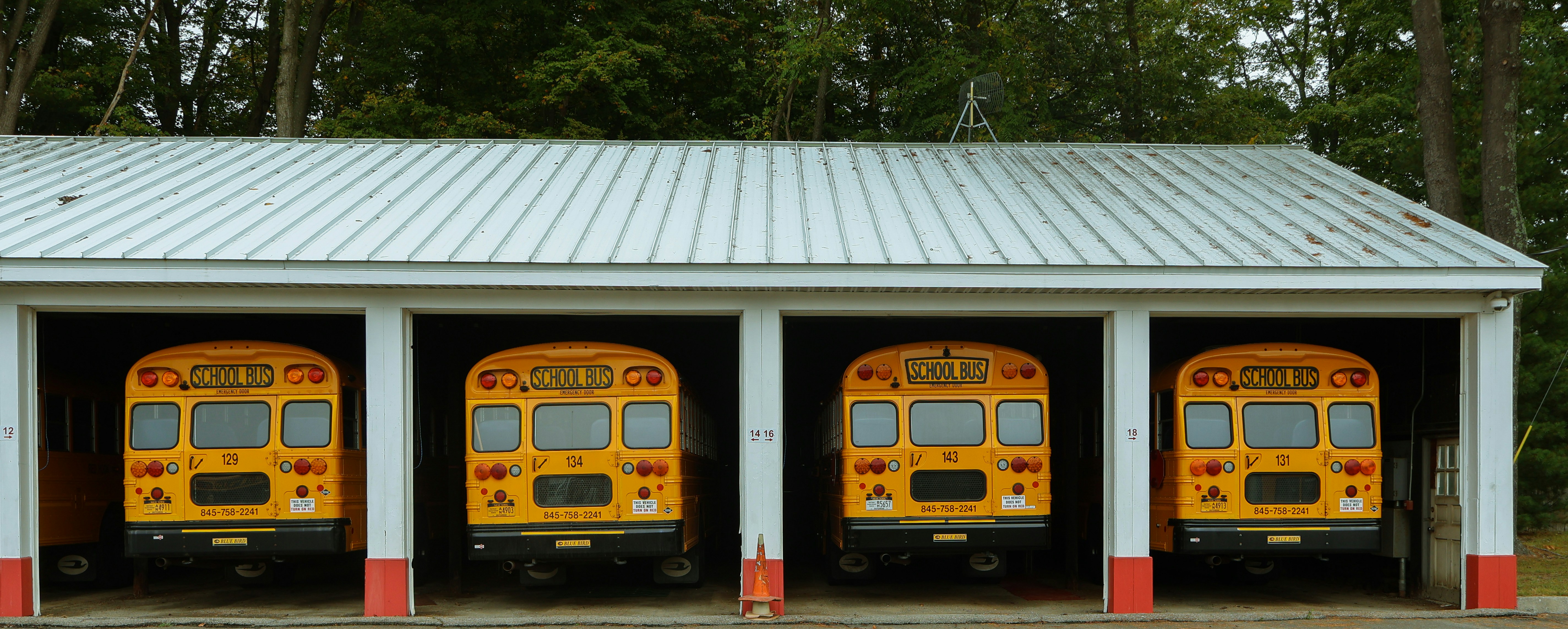 A row of yellow school buses parked in front of a building