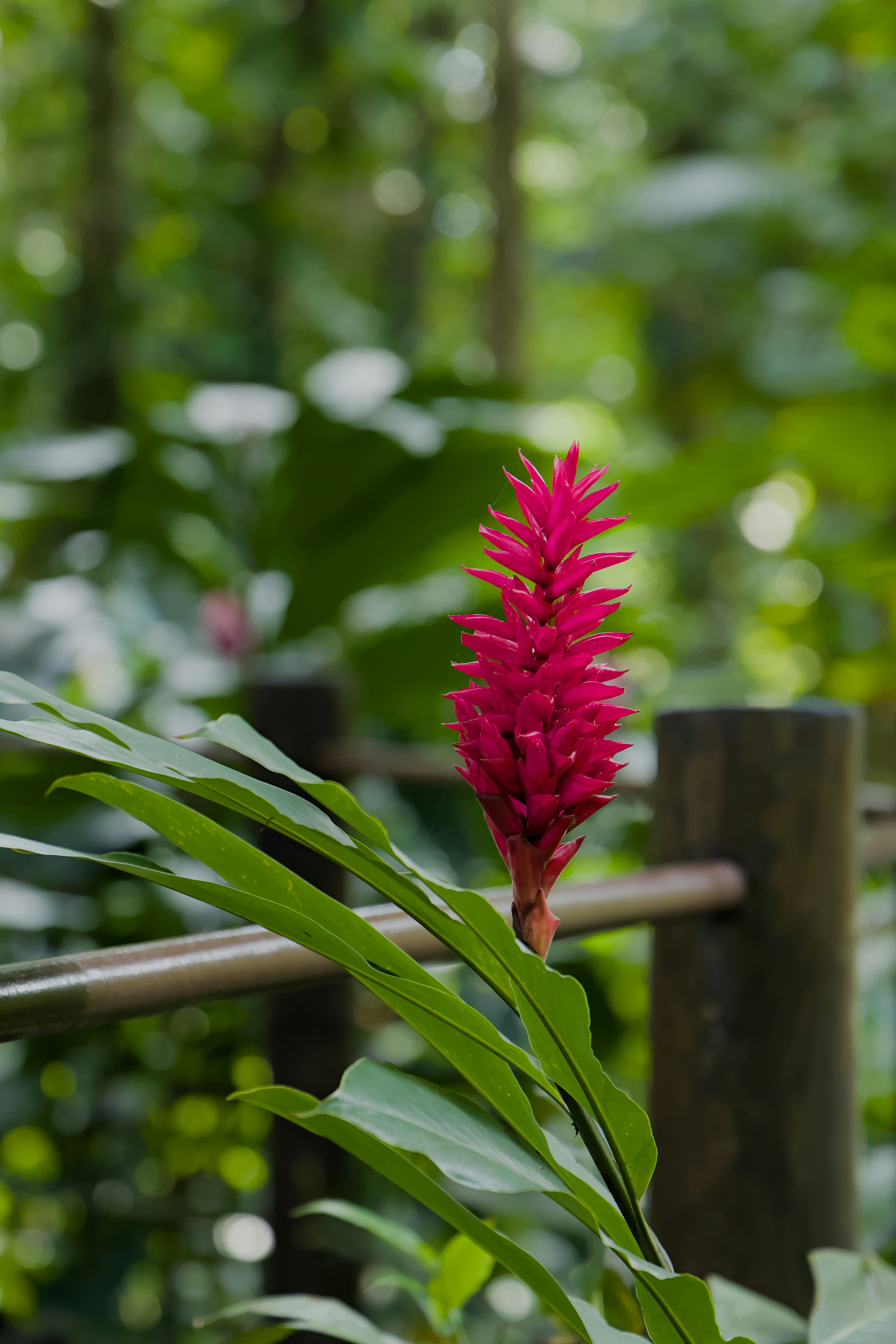 Photo by carbonmonoxide