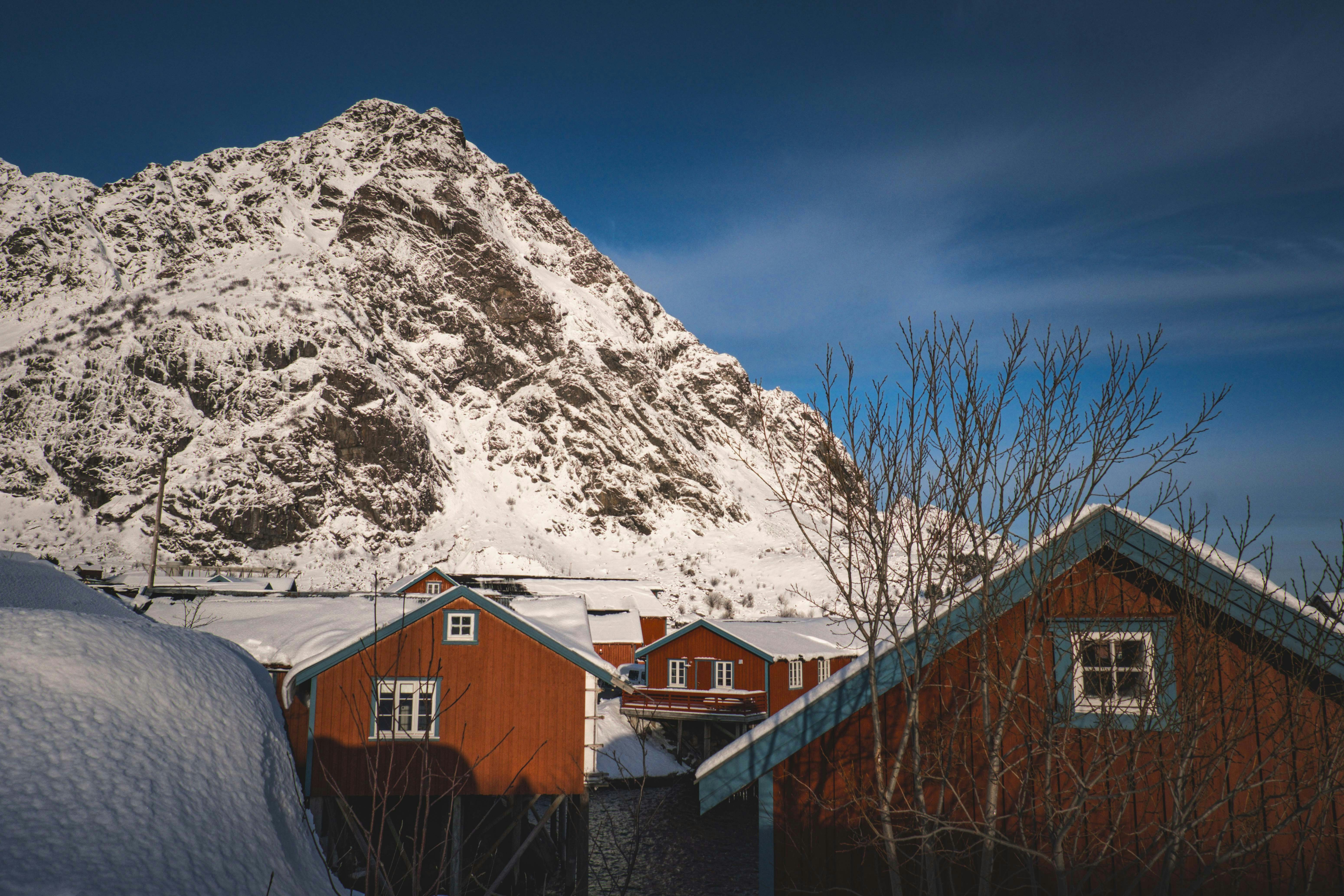 Photo by francesco_ungaro