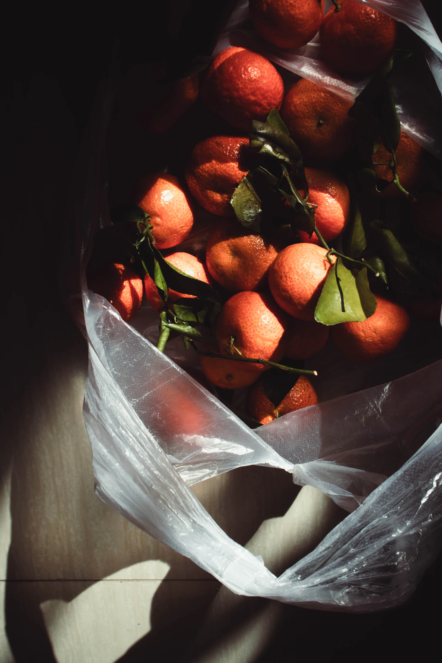 Mandarin oranges with leaves, in a bag, in hard sunlight