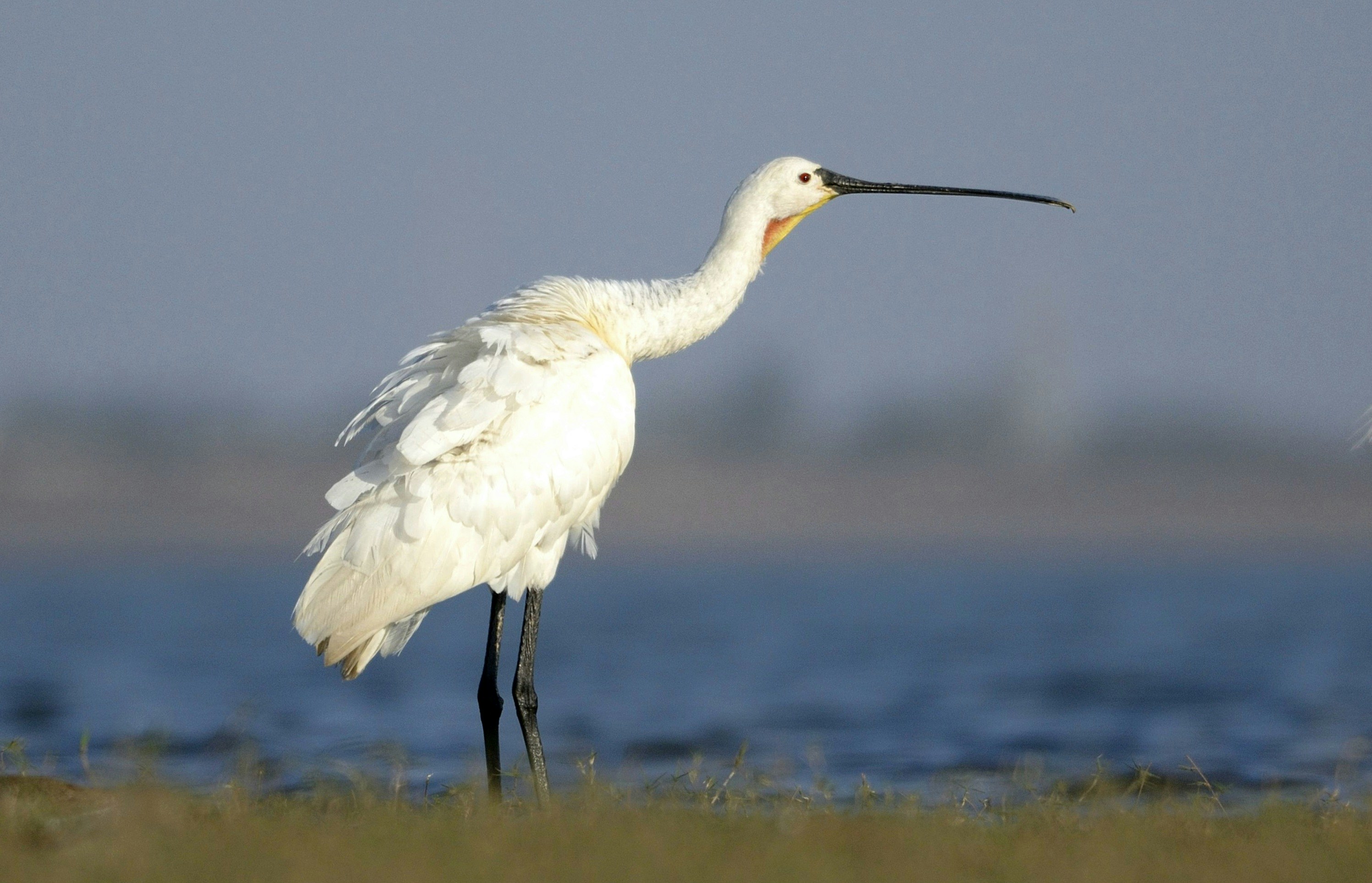 Photo by manishkavediya