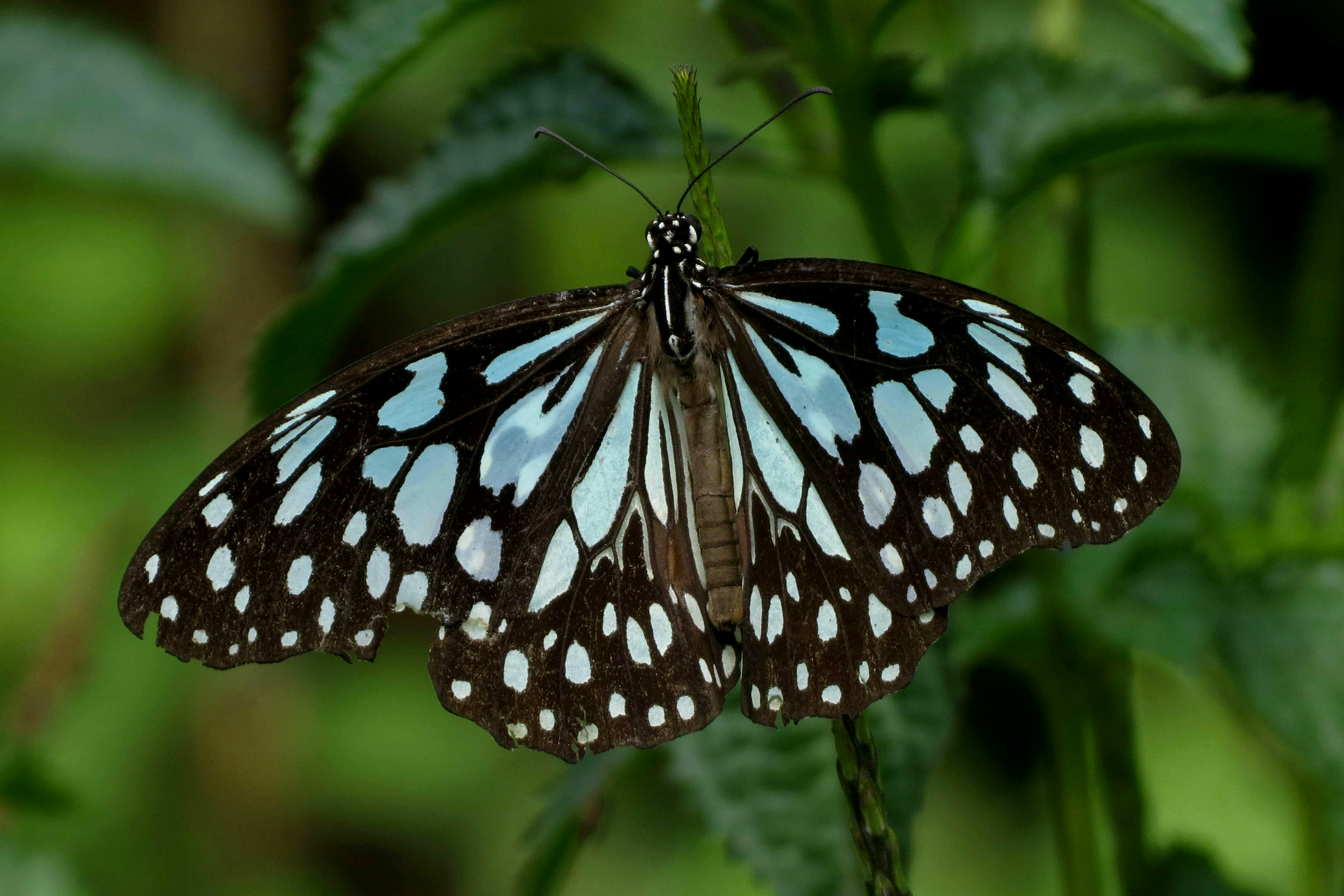 Photo by manishkavediya