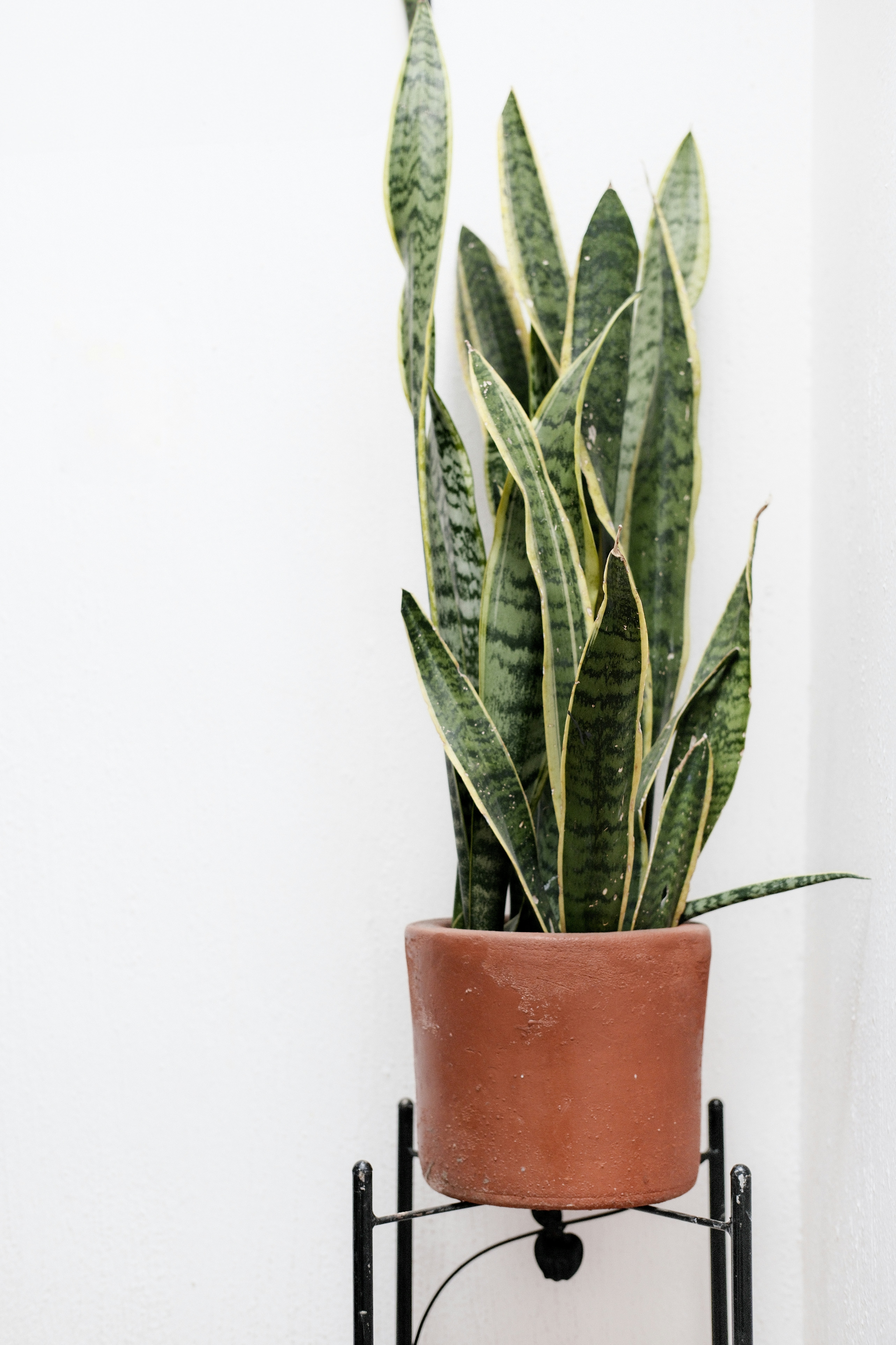 Photo by brunocervera