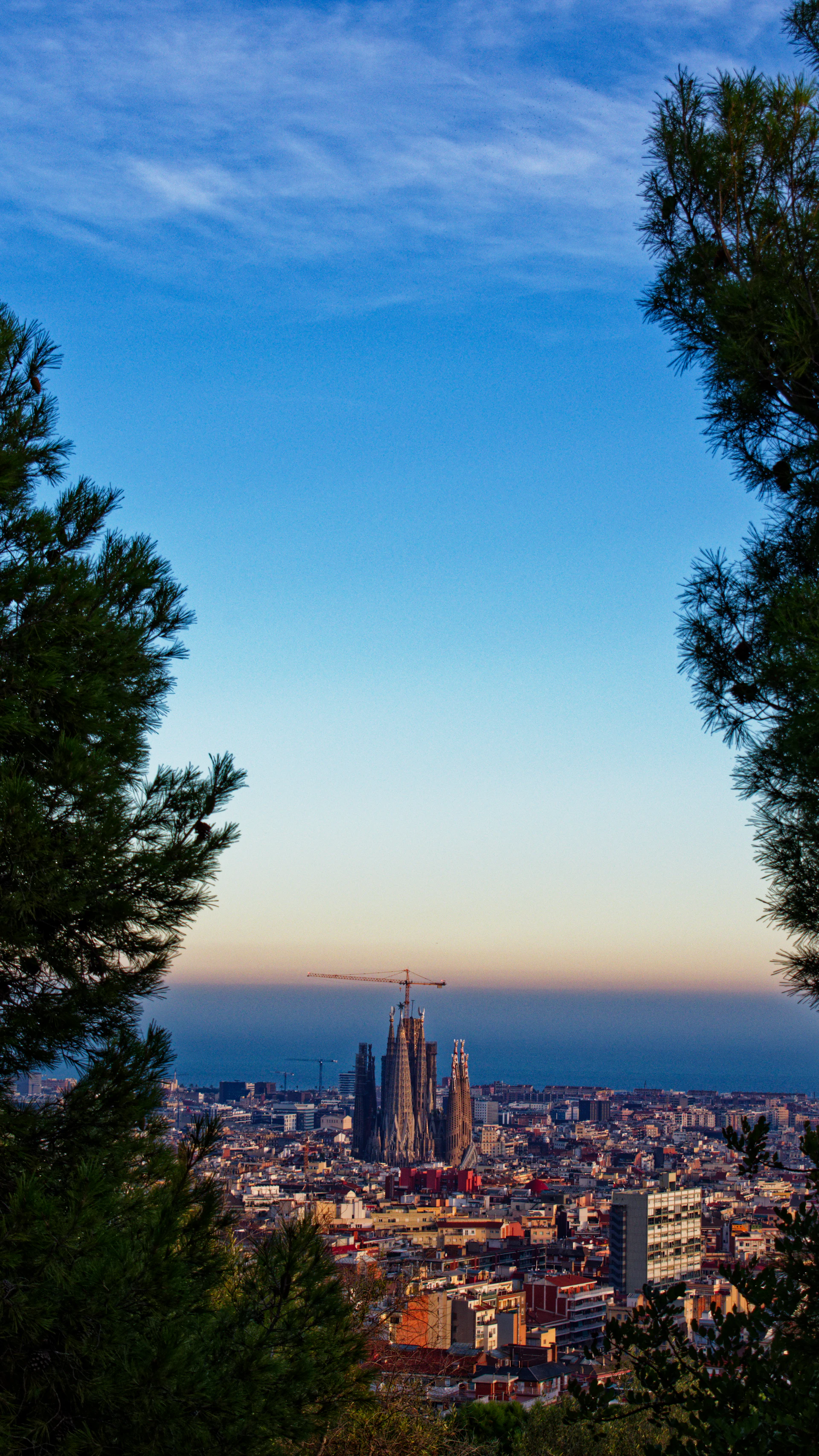 A view of a city through some trees