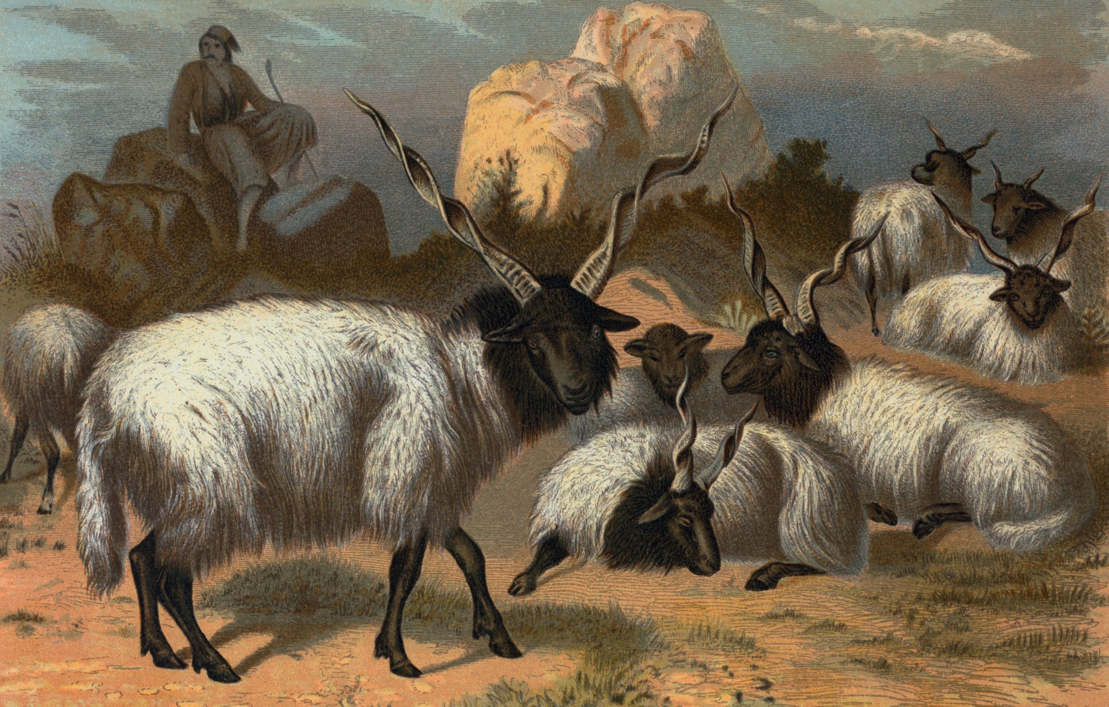 photo 1739387137506 9a5052cdce8c?crop=entropy&cs=tinysrgb&fit=max&fm=jpg&ixid=M3w1MjQ0NjR8MHwxfHNlYXJjaHwxNnx8Q291cnRyb29tJTIwaWxsdXN0cmF0aW9ufGVufDB8MHx8fDE3NDM4NTAyMzN8MA&ixlib=rb 4.0 - Compensatory Damages: Definition and Legal Meaning