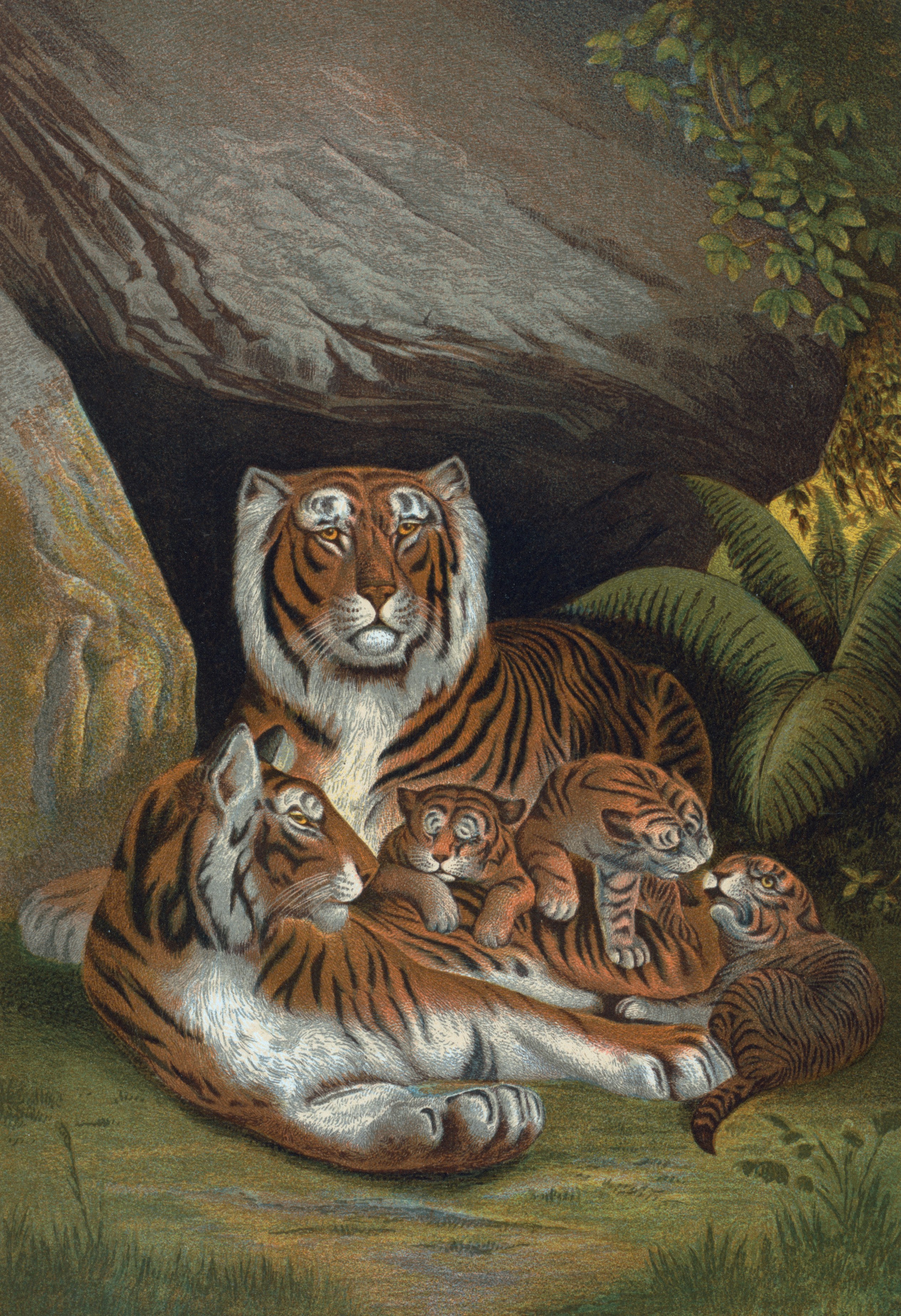 Mother's Lessons in Survival (image credits: unsplash)