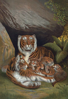 Vintage tiger painting — bohemian wall frame art for UAE homes