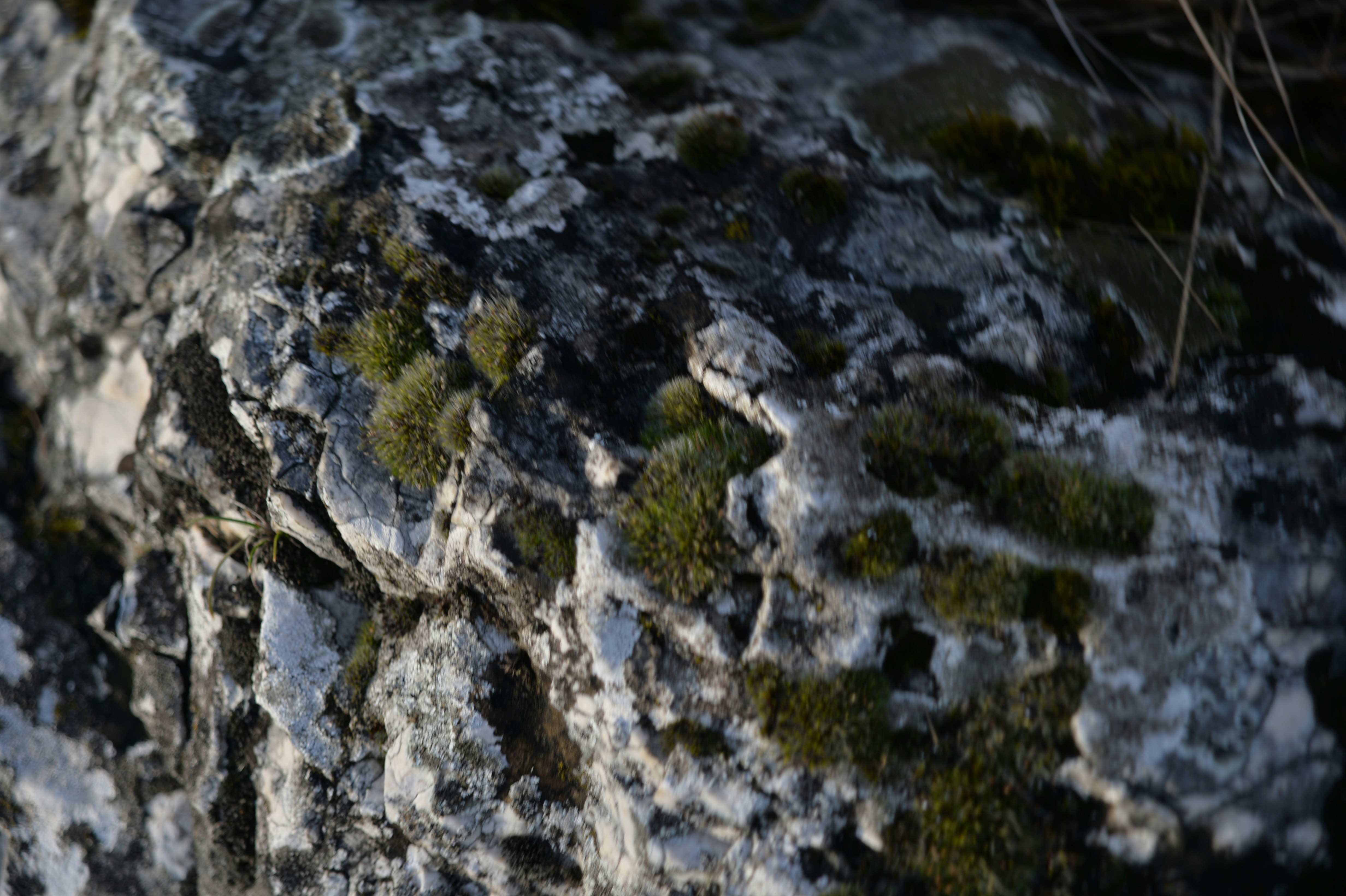 Photo by baliko_andras