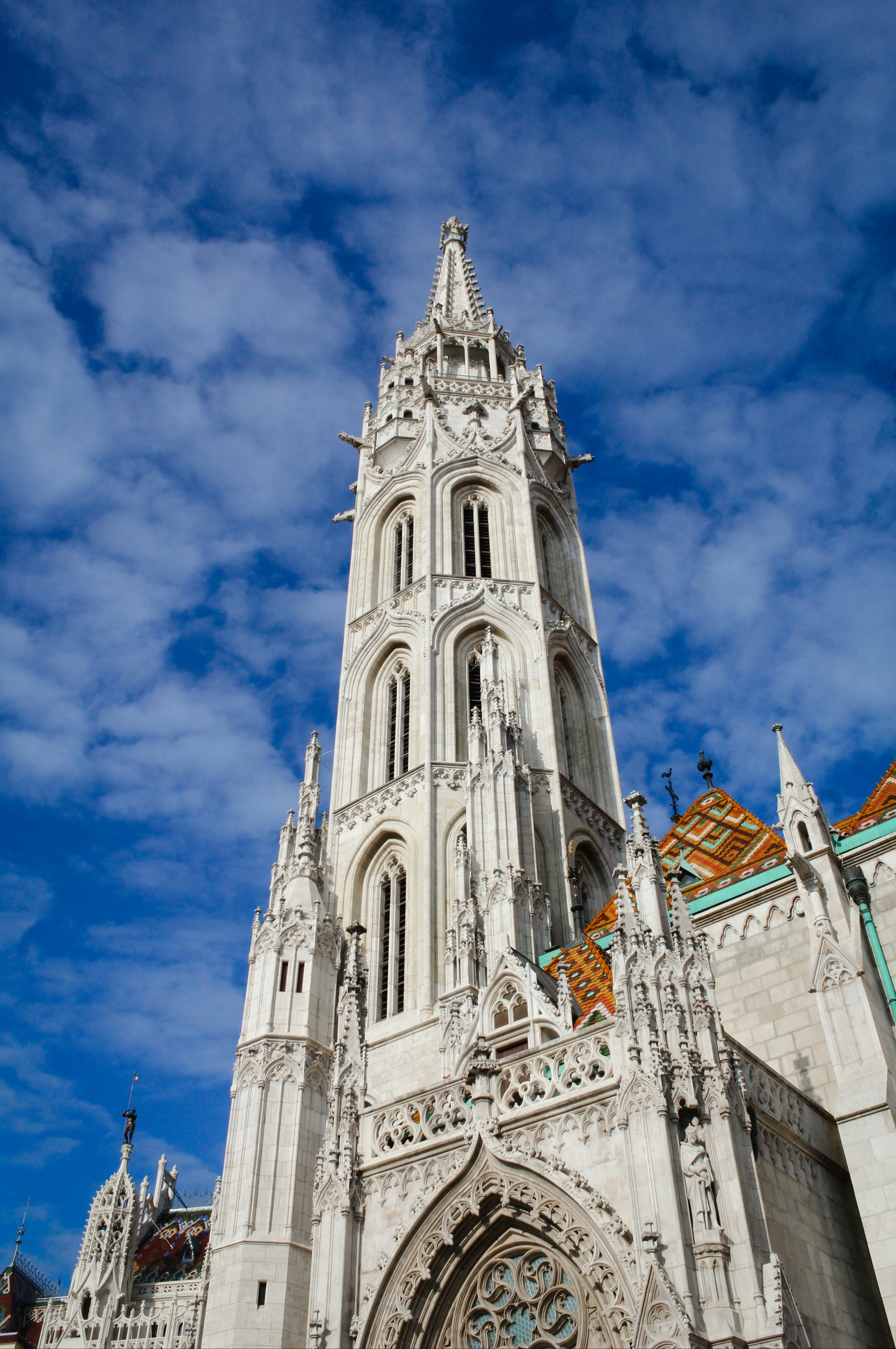 Photo by nicolafittipaldi