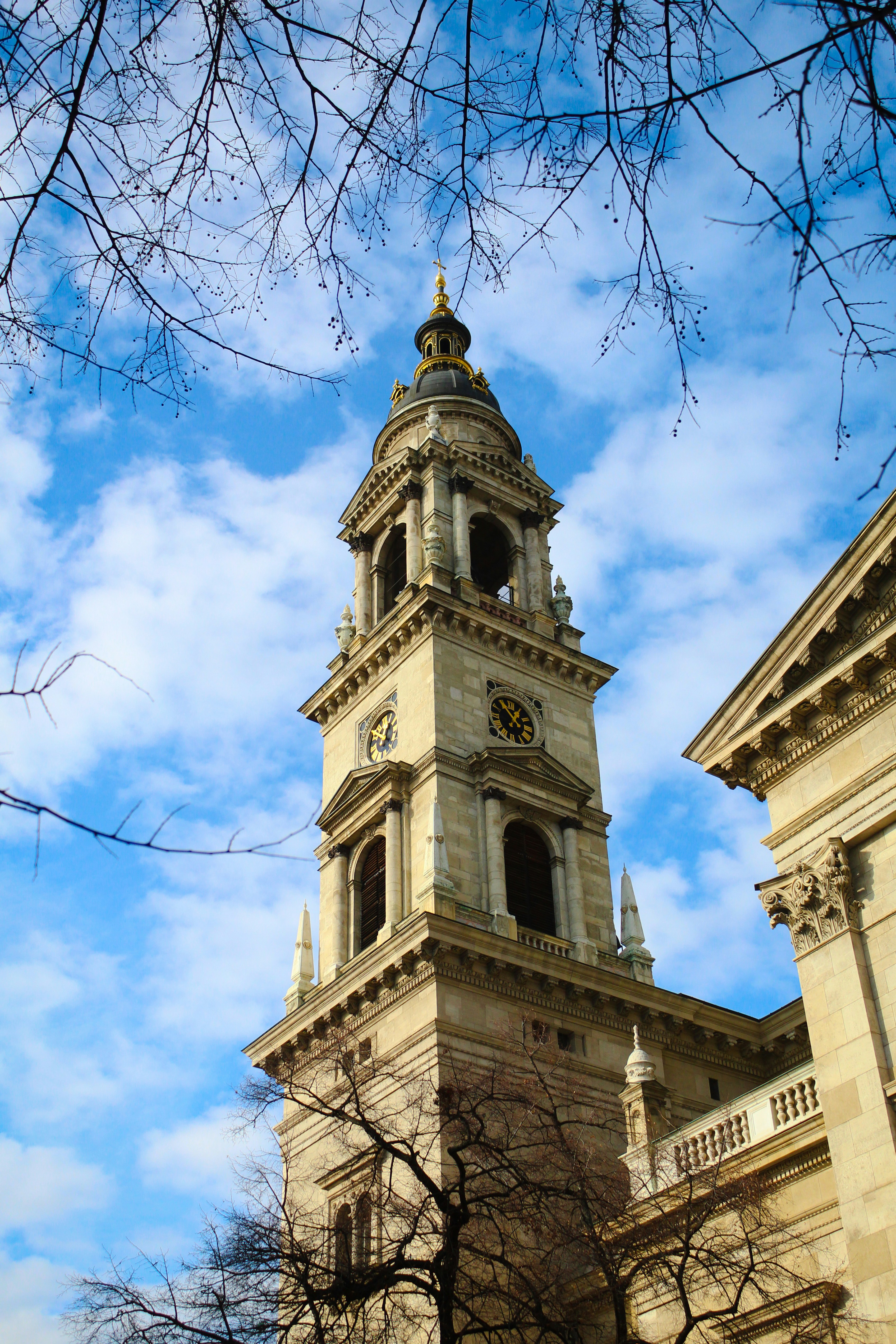 Photo by nicolafittipaldi