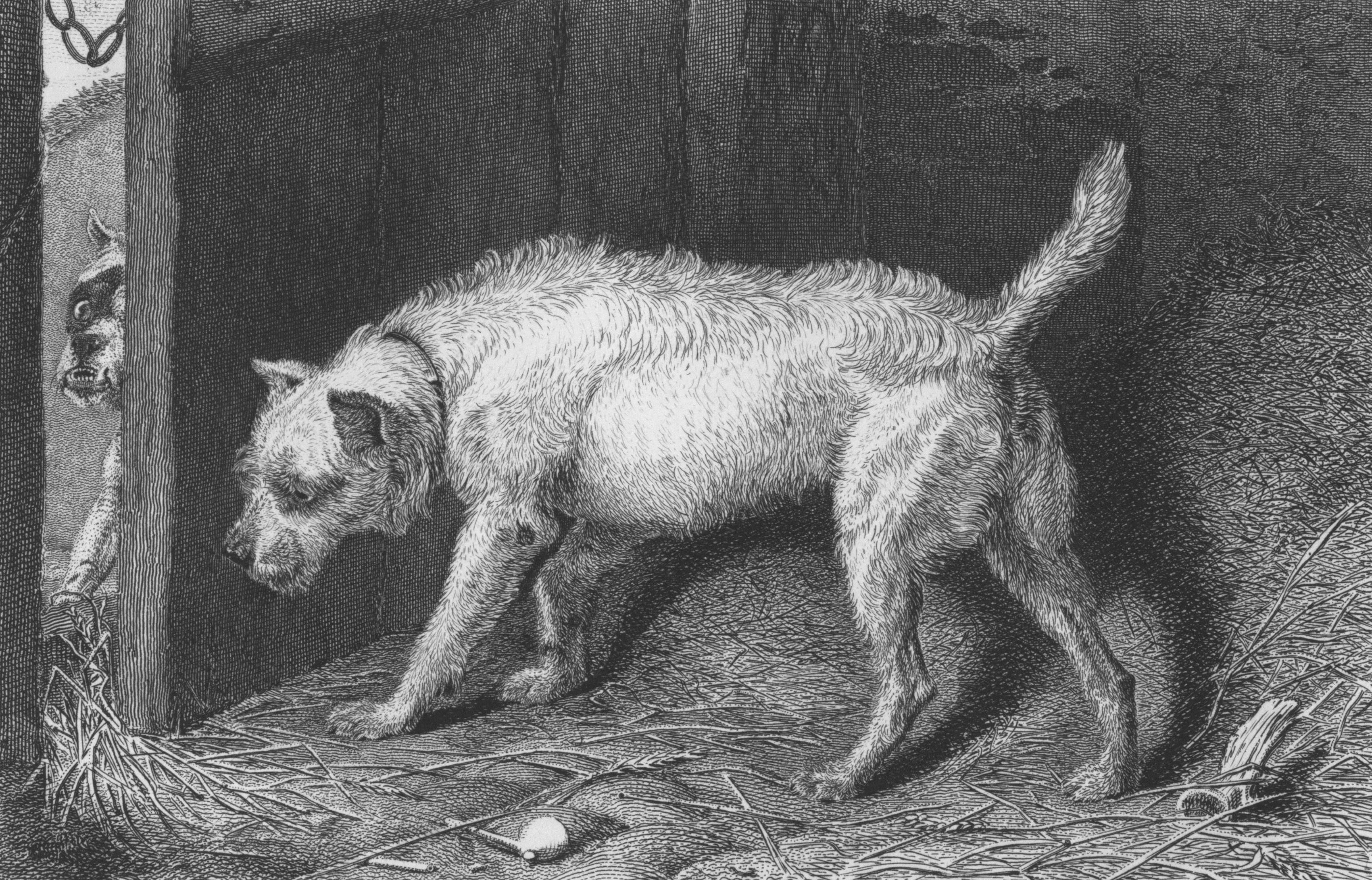 Modern illustration of domesticated dogs with their human counterparts