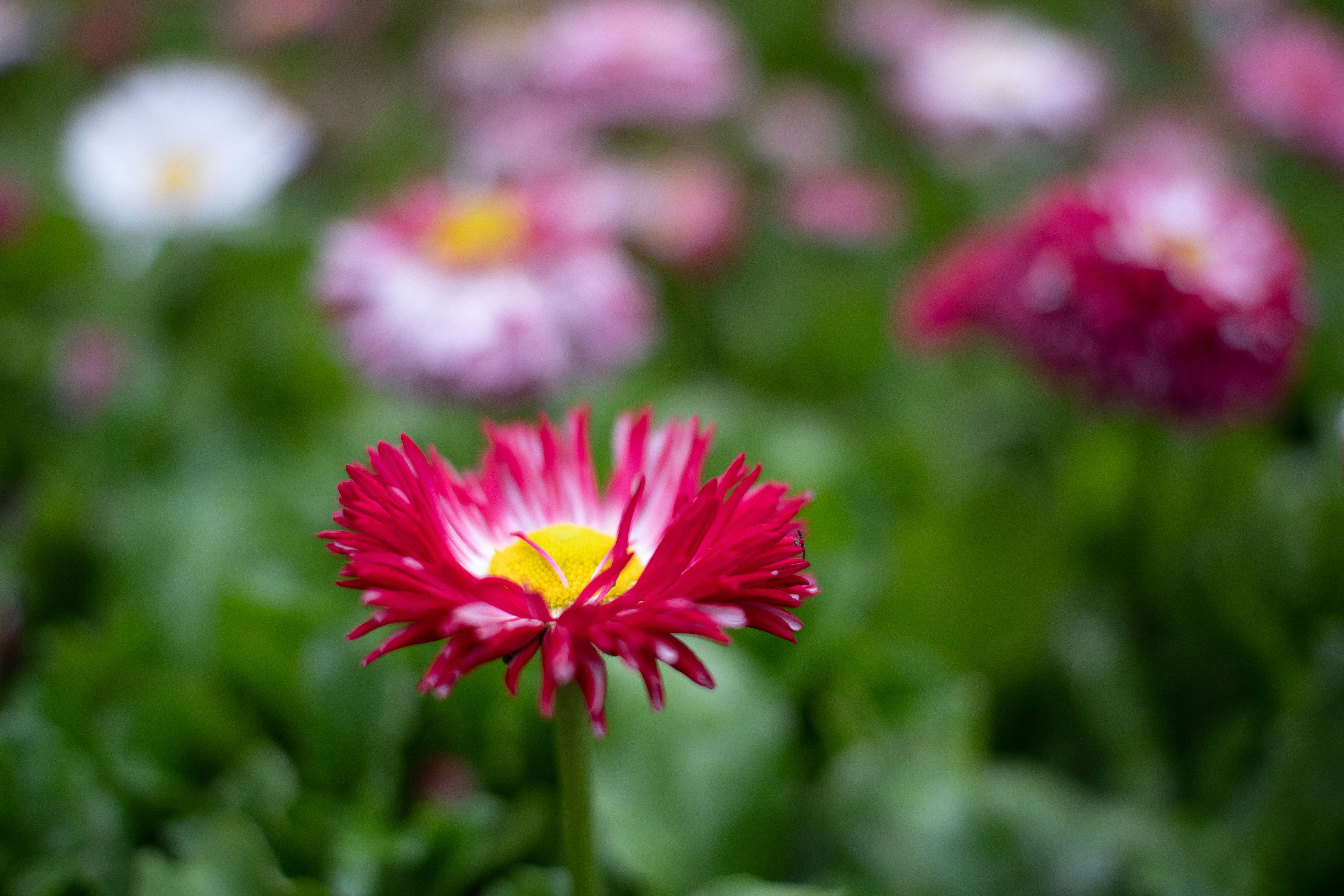 Photo by sevencolors