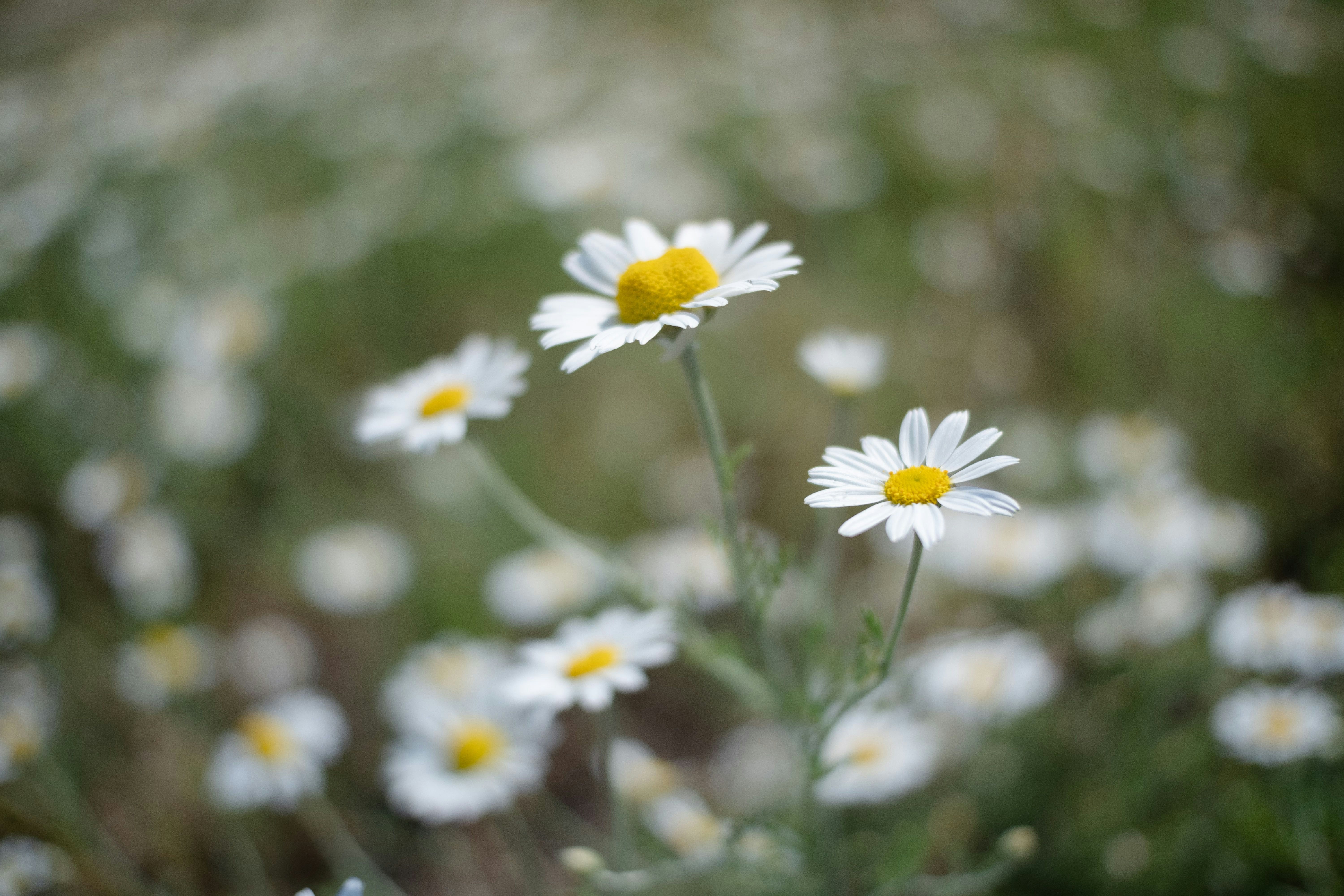 Photo by sevencolors