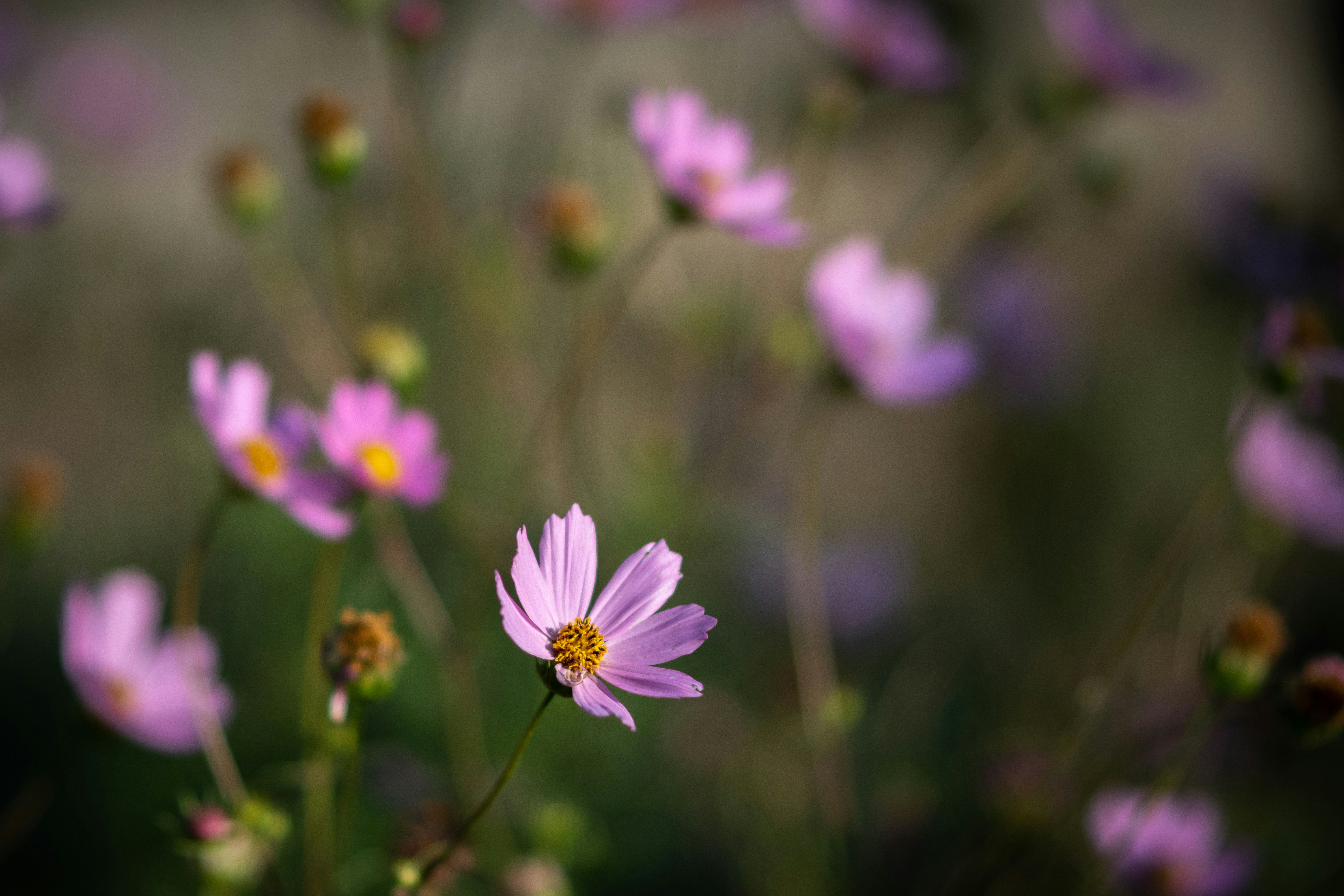 Photo by sevencolors