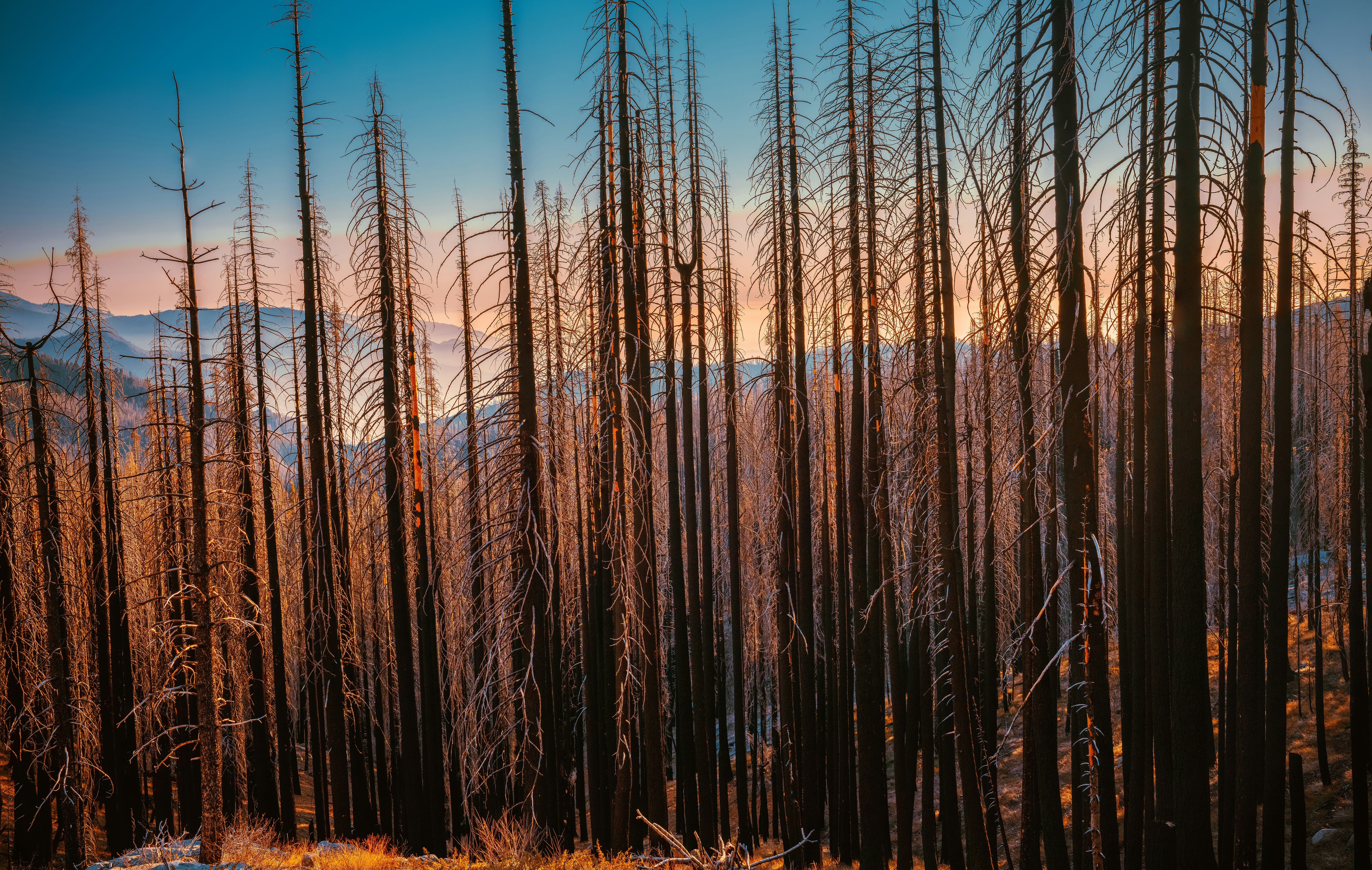 Photo by happy_pixel