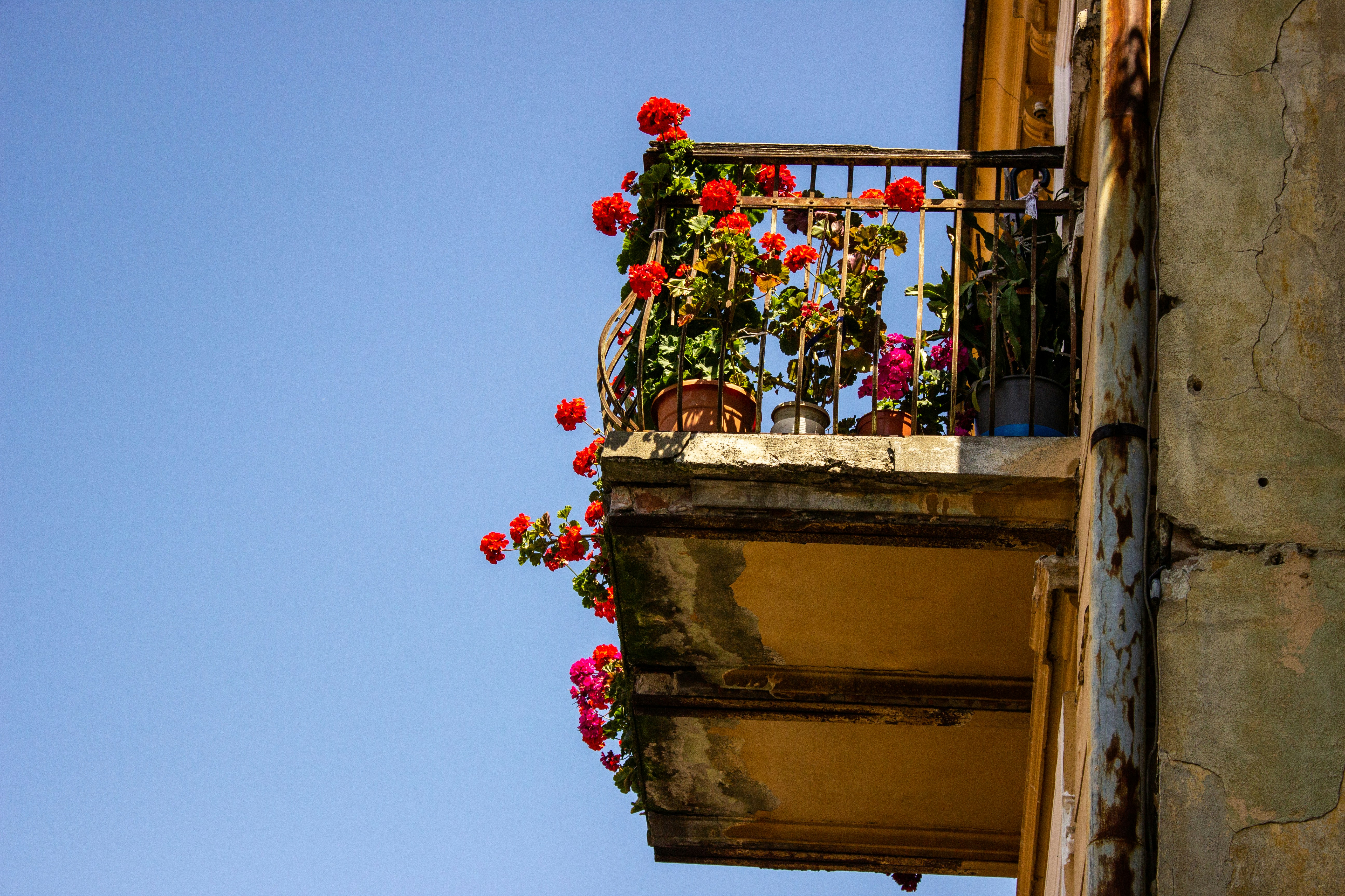 Photo by reanimatedmanx