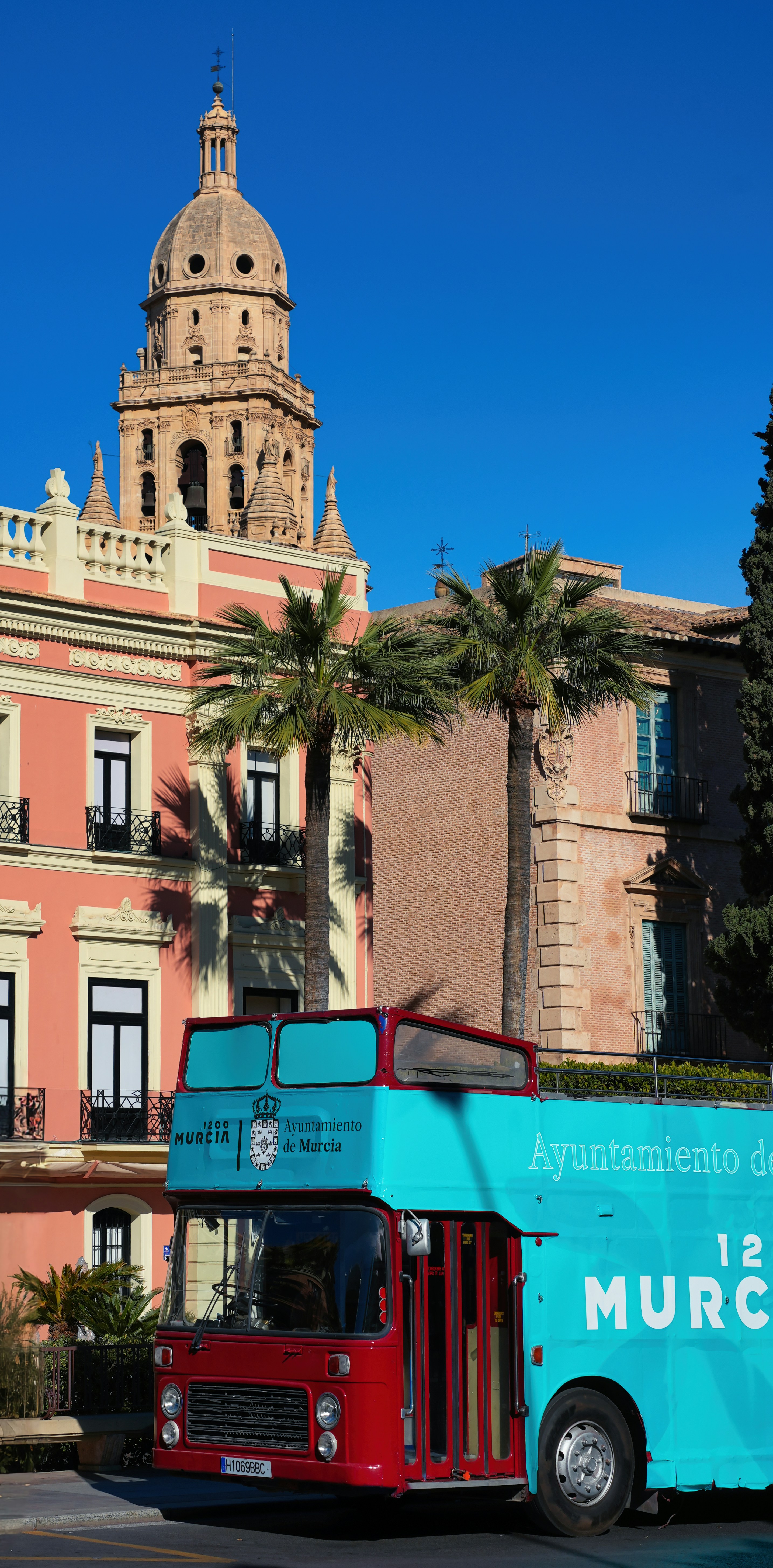 Servicios de aplicación profesional en Murcia