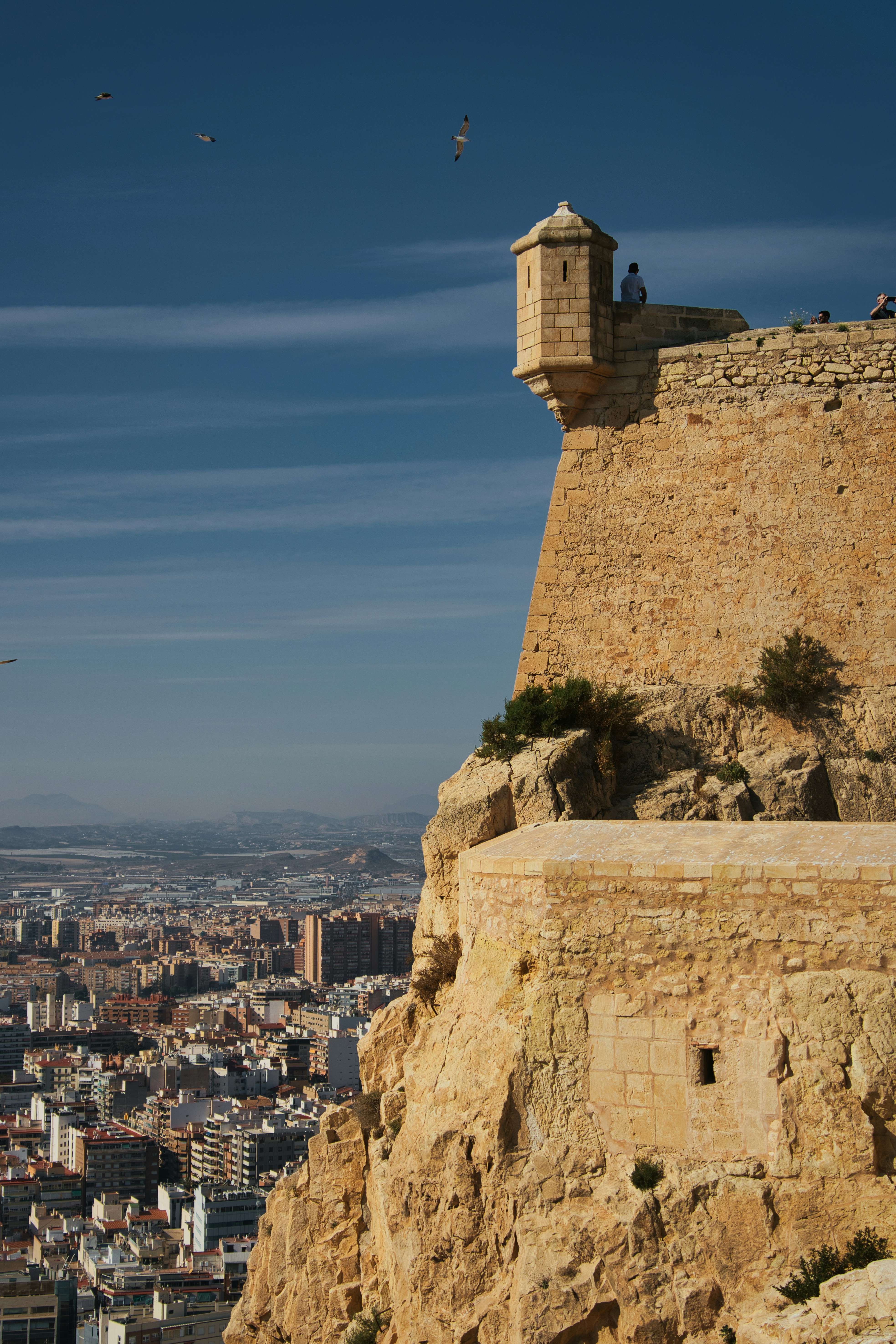 Top 20 Empresas de chatbots en Alicante