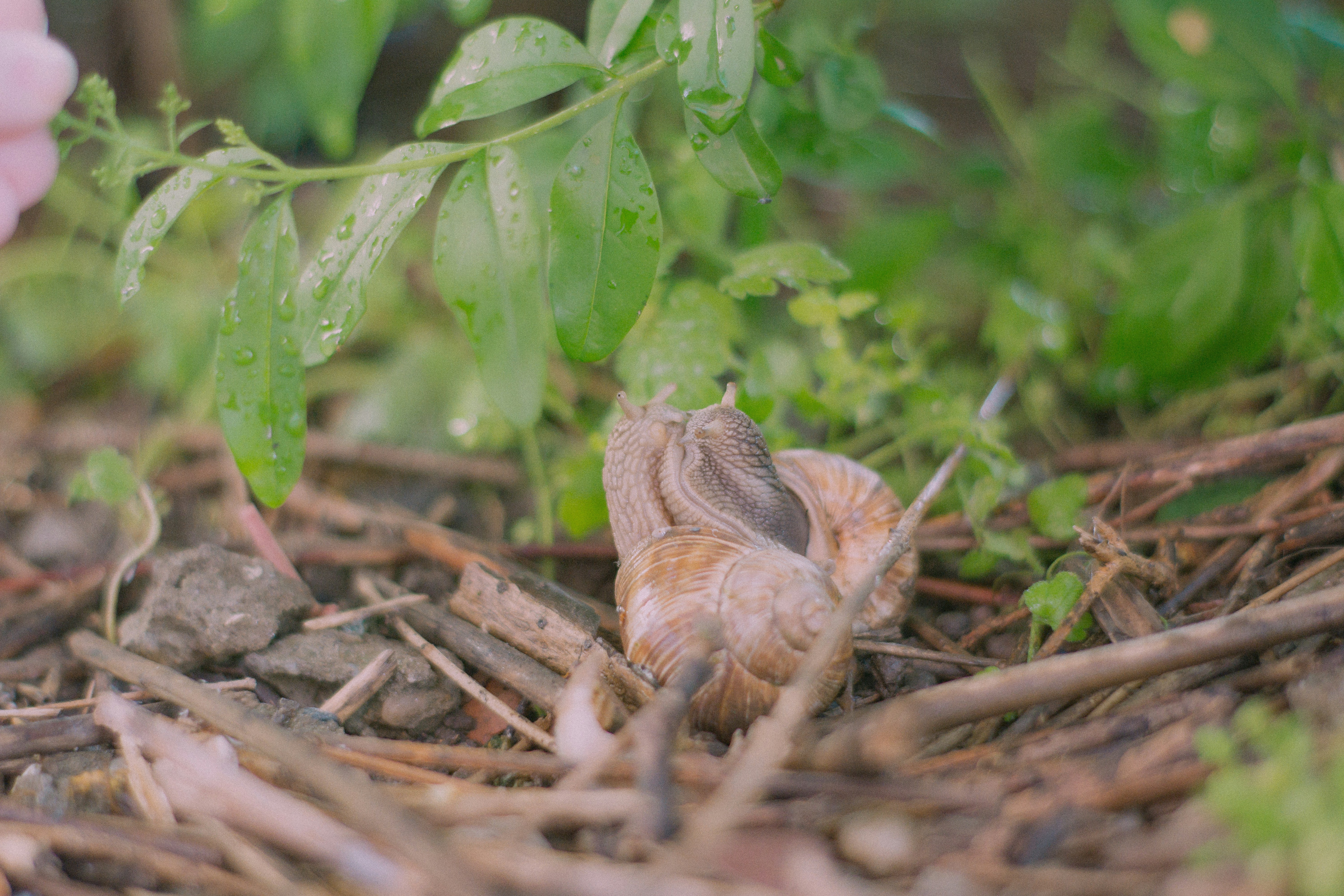 Photo by tanya_cantus