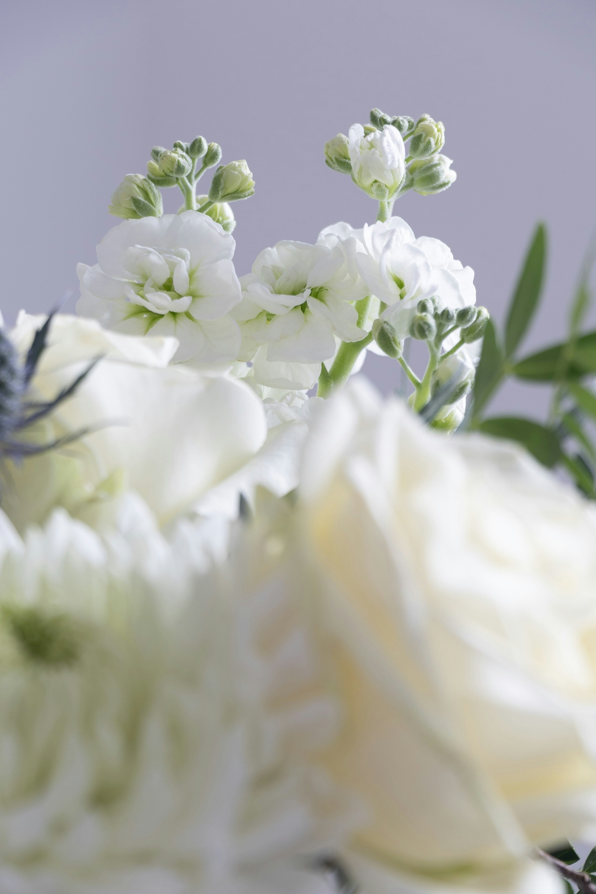 Photo by kiaramartin