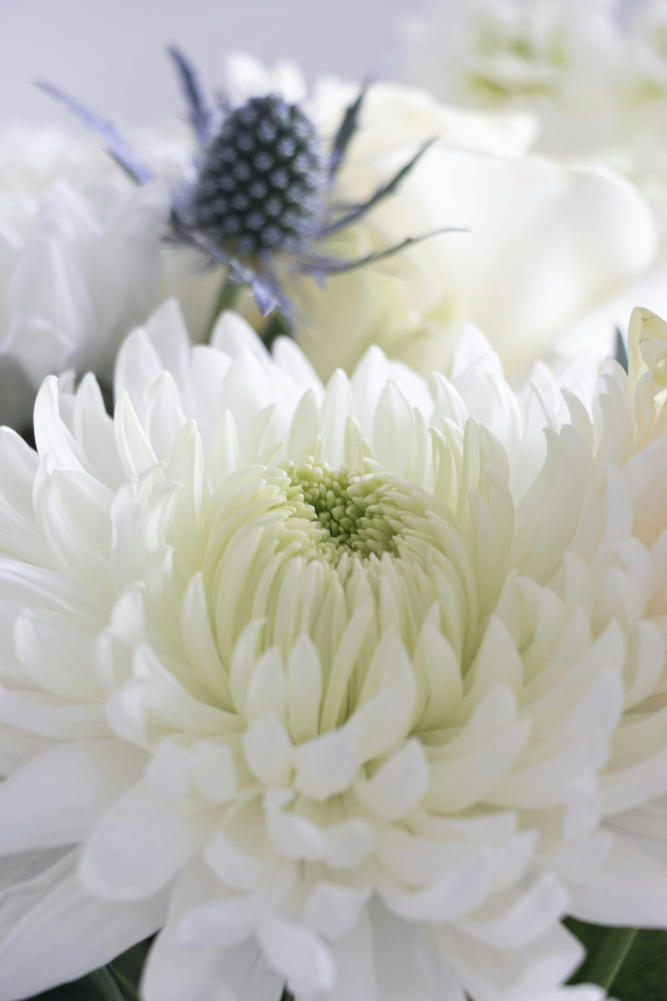 Photo by kiaramartin