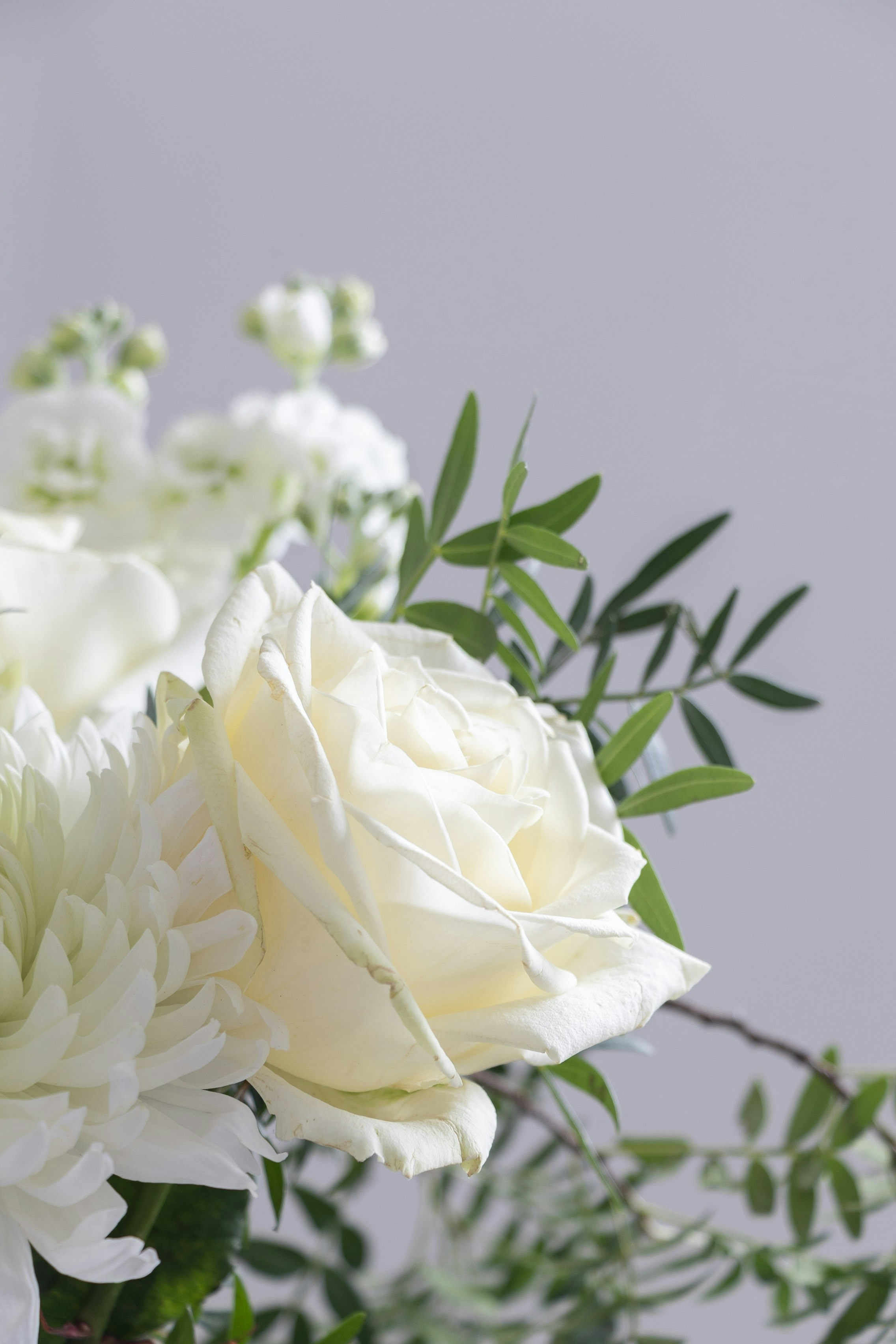 Photo by kiaramartin