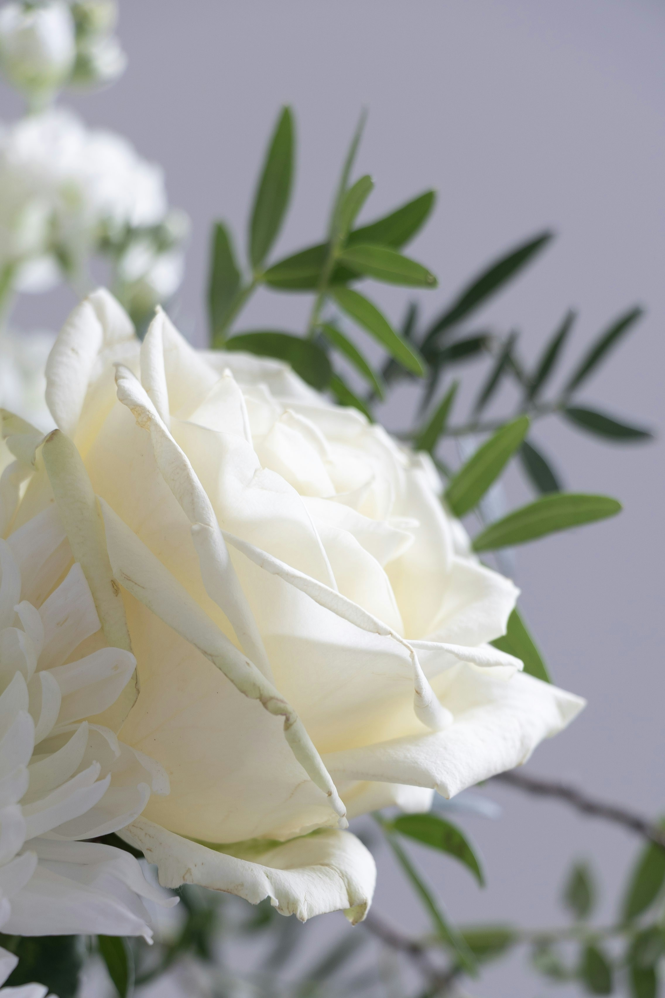 Photo by kiaramartin