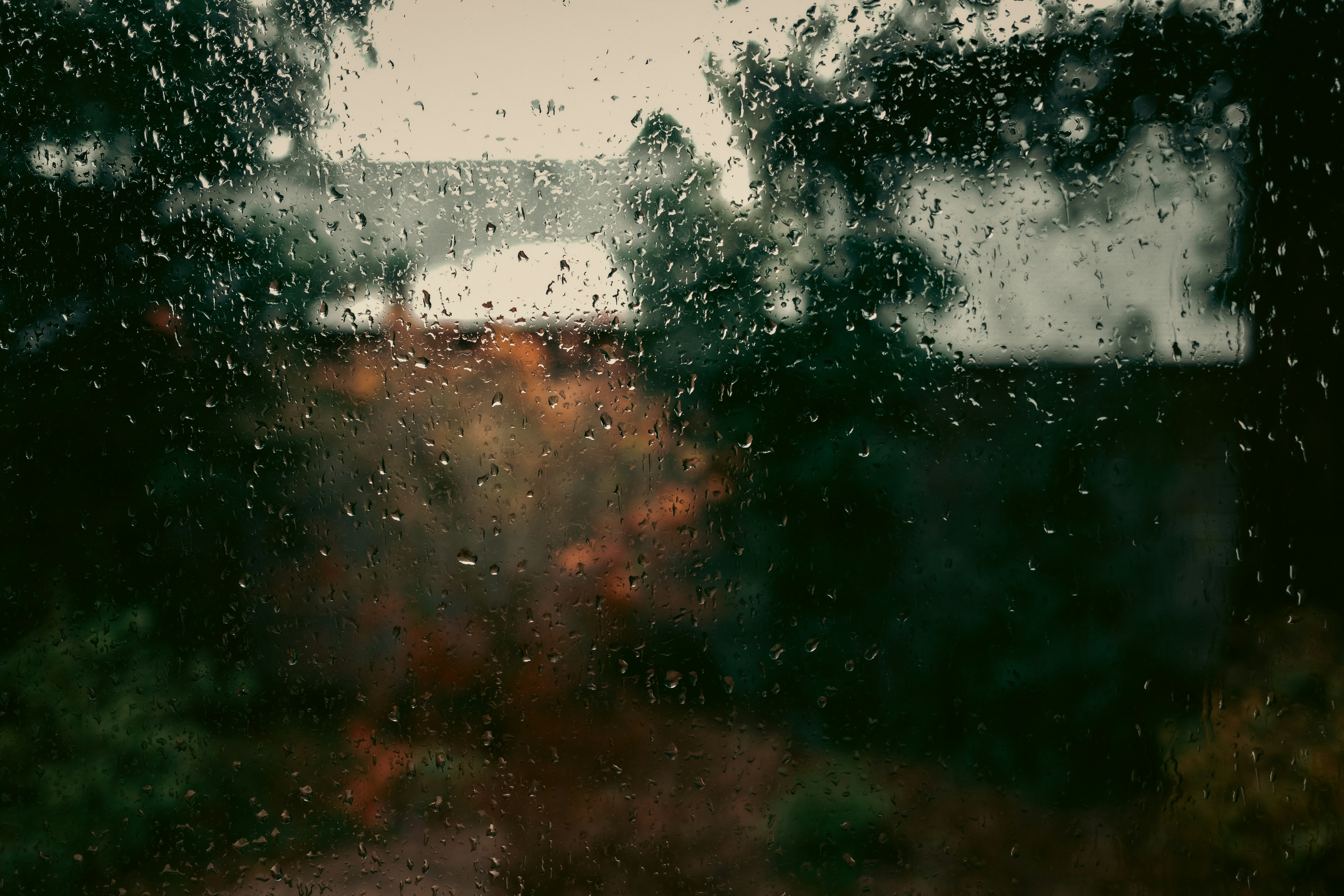 Photo by kalaniparker