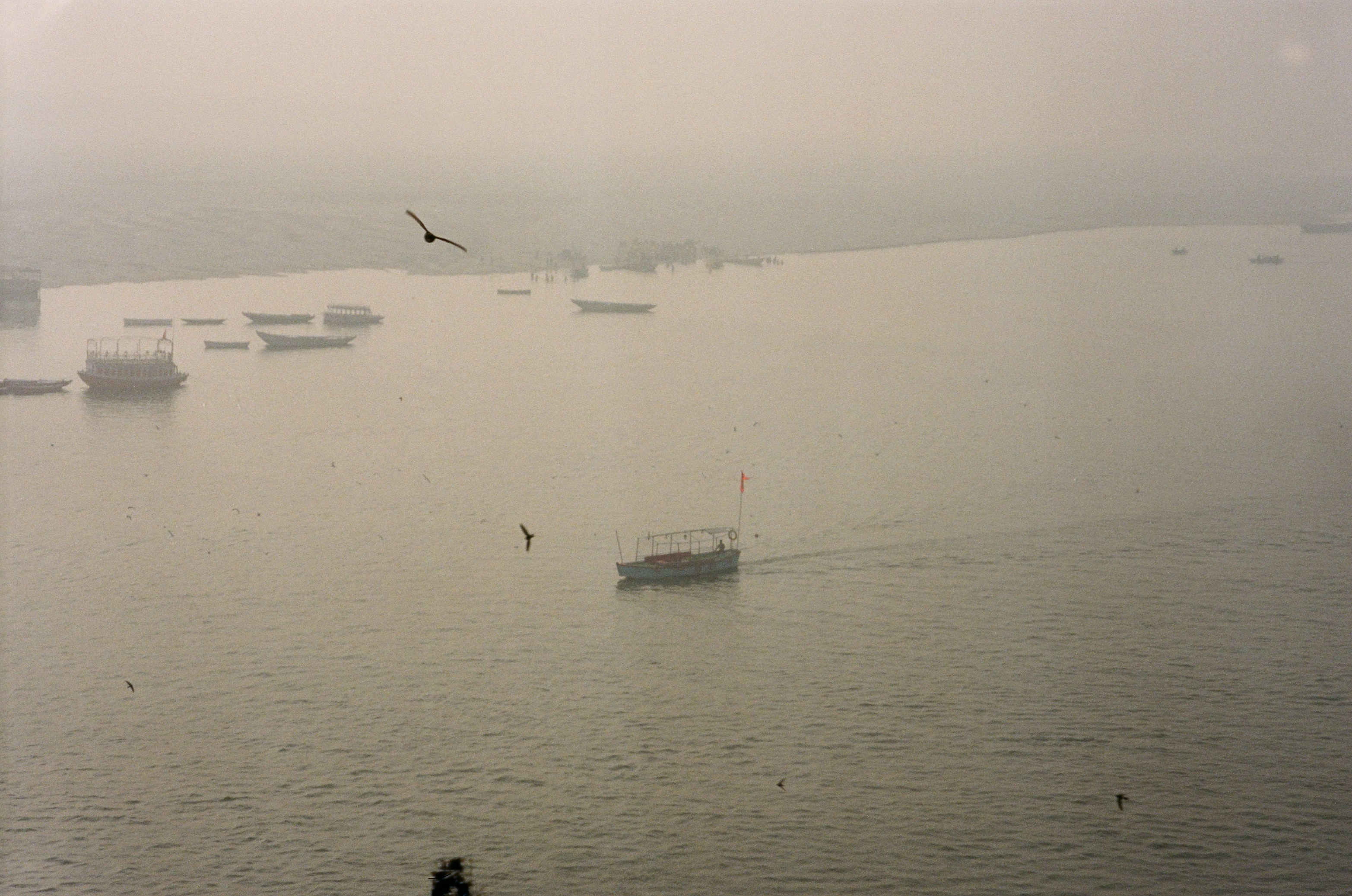 Photo by louisesophie