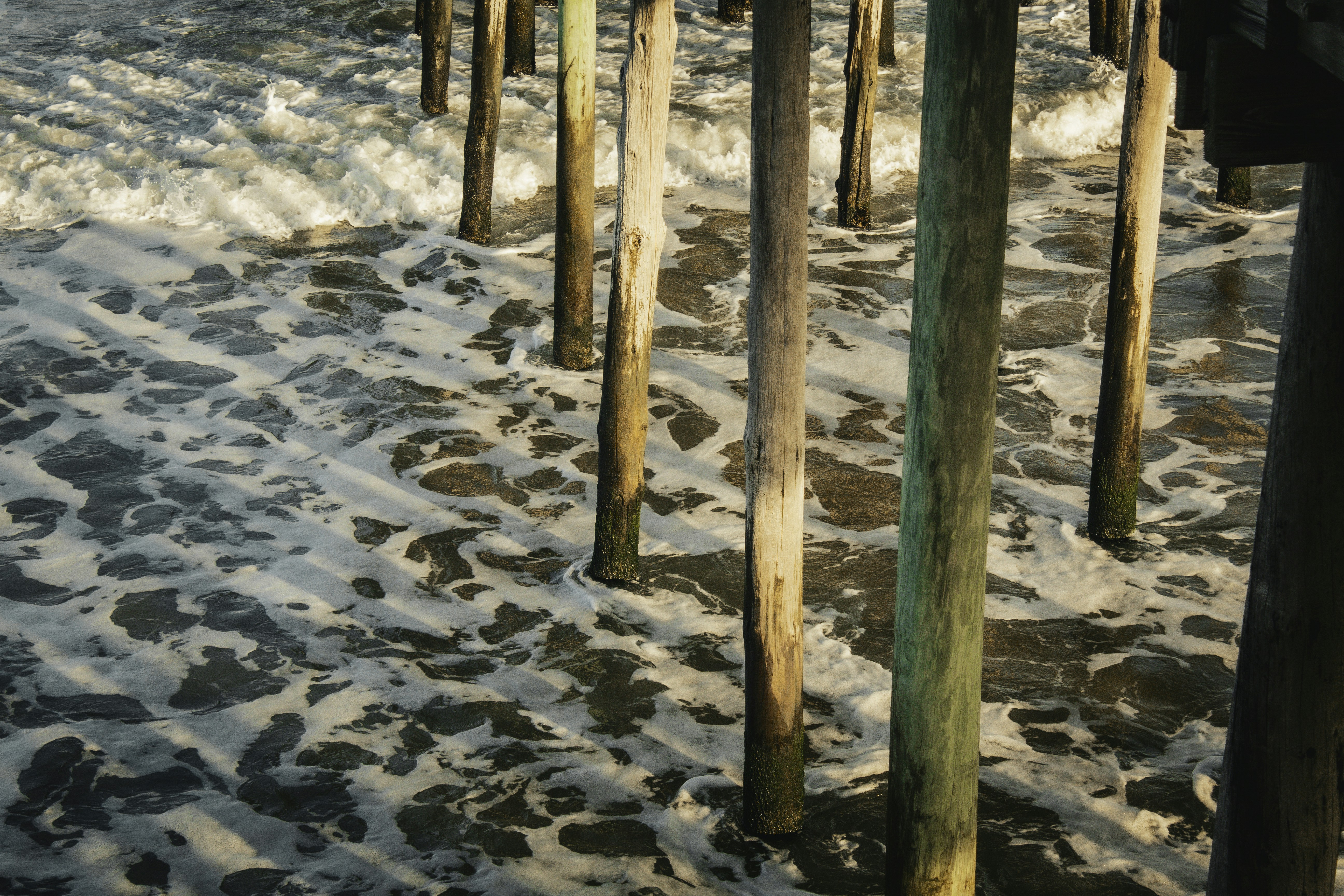 A bunch of poles sticking out of the water