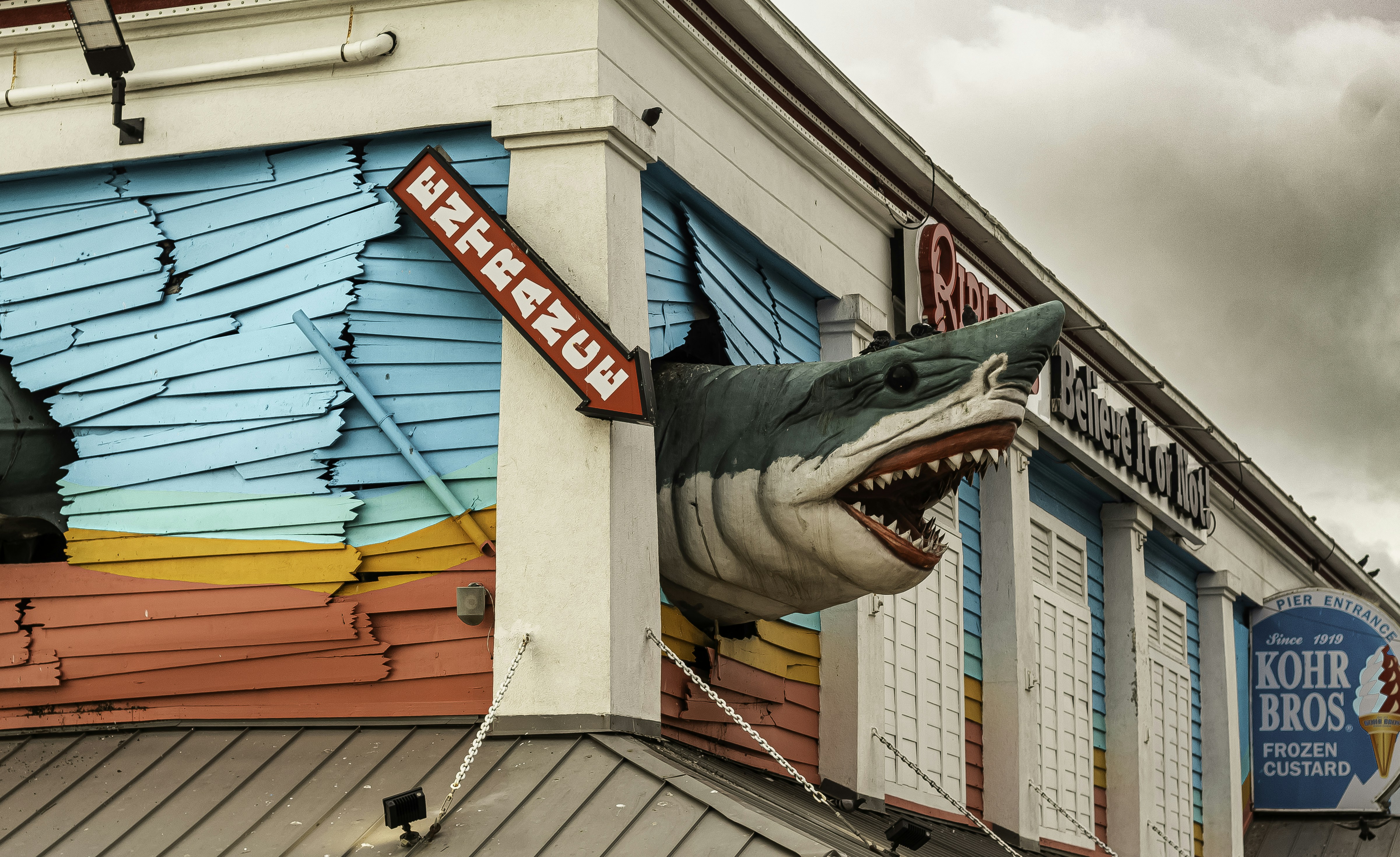 A building with a fake shark on the front of it