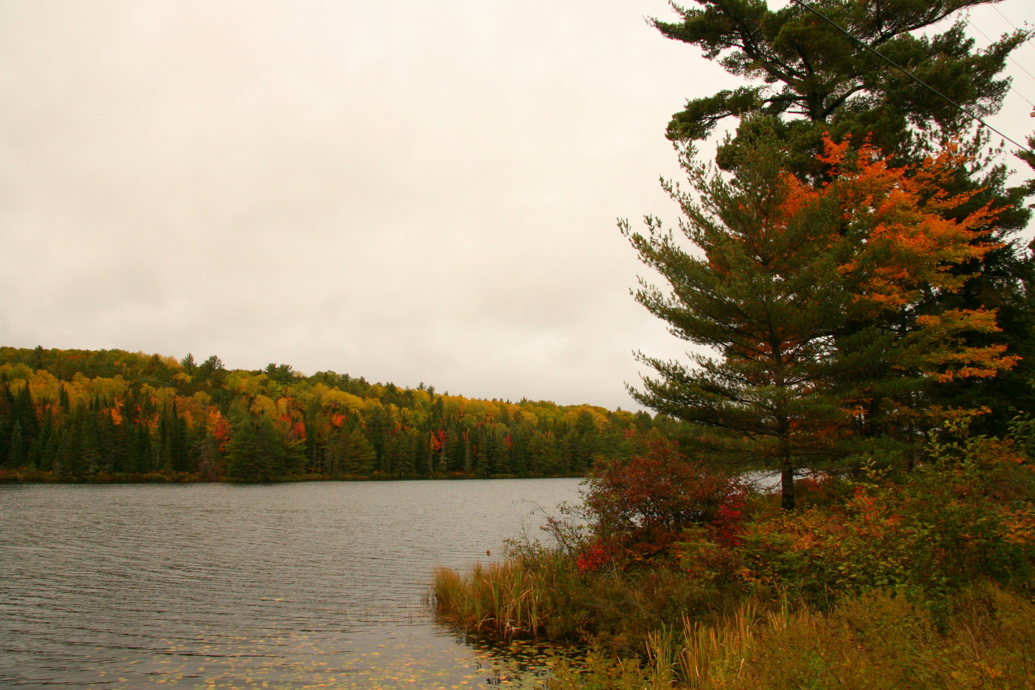 Photo by ernest_boyd